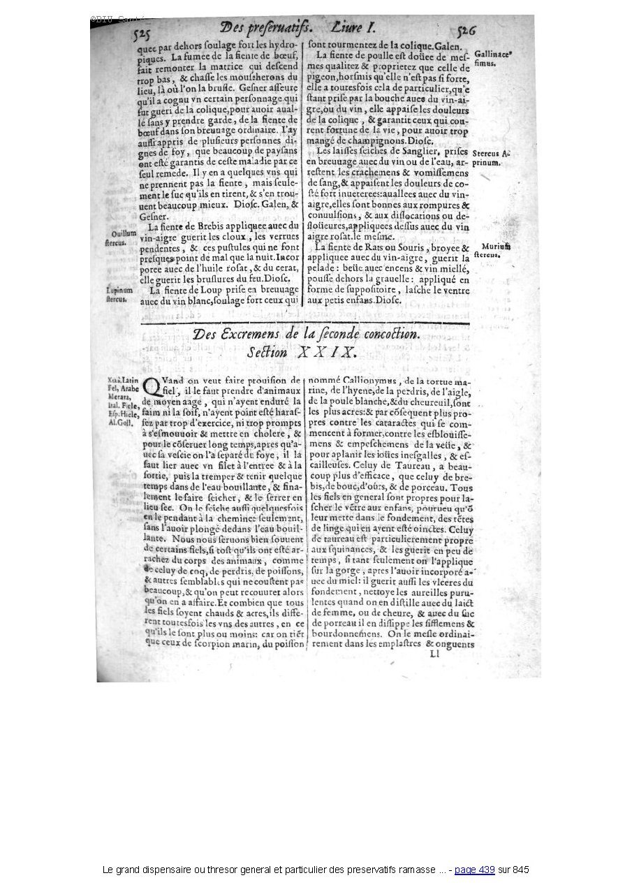 1609 - Étienne Gamonet - Grand dispensaire ou Trésor général et particulier des préservatifs - BIU Santé