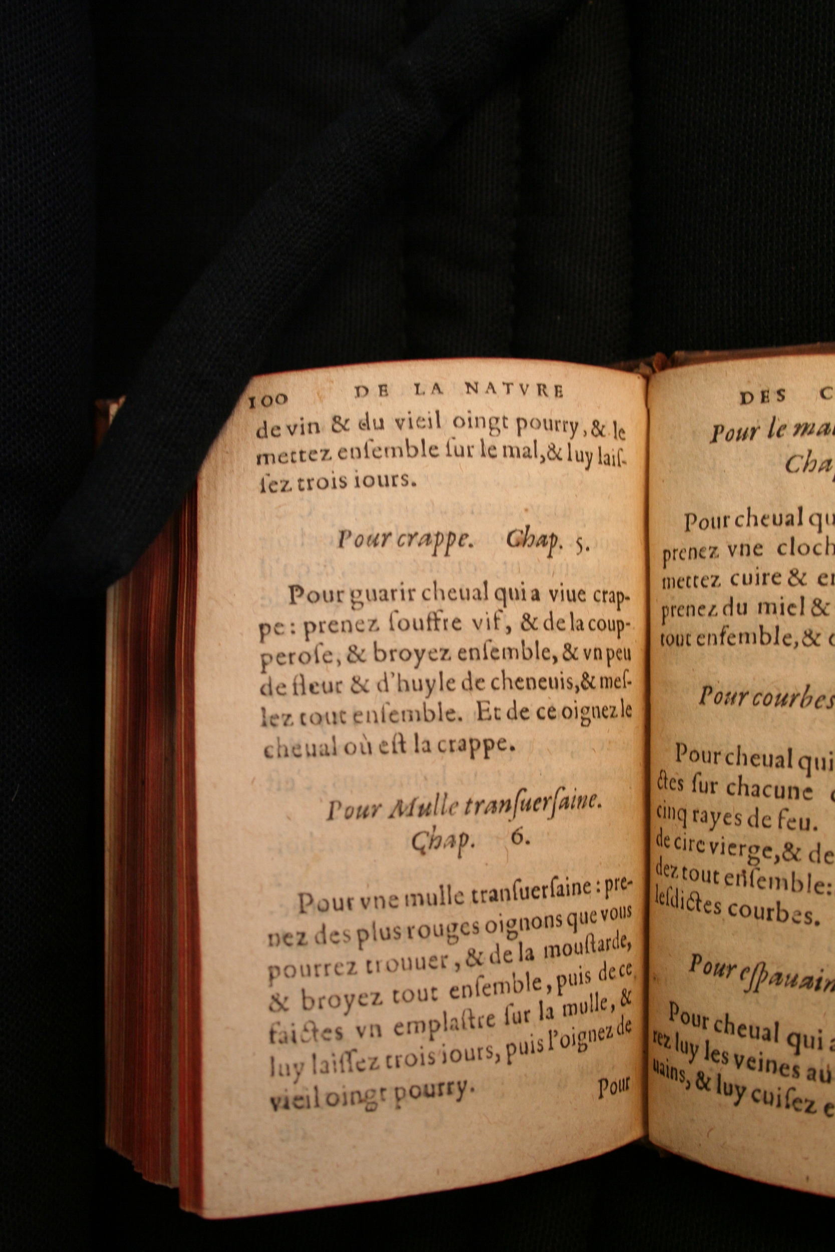 1591 - Pierre Chastaing et Benoît Rigaud - Trésor des bêtes chevalines - BM Bordeaux