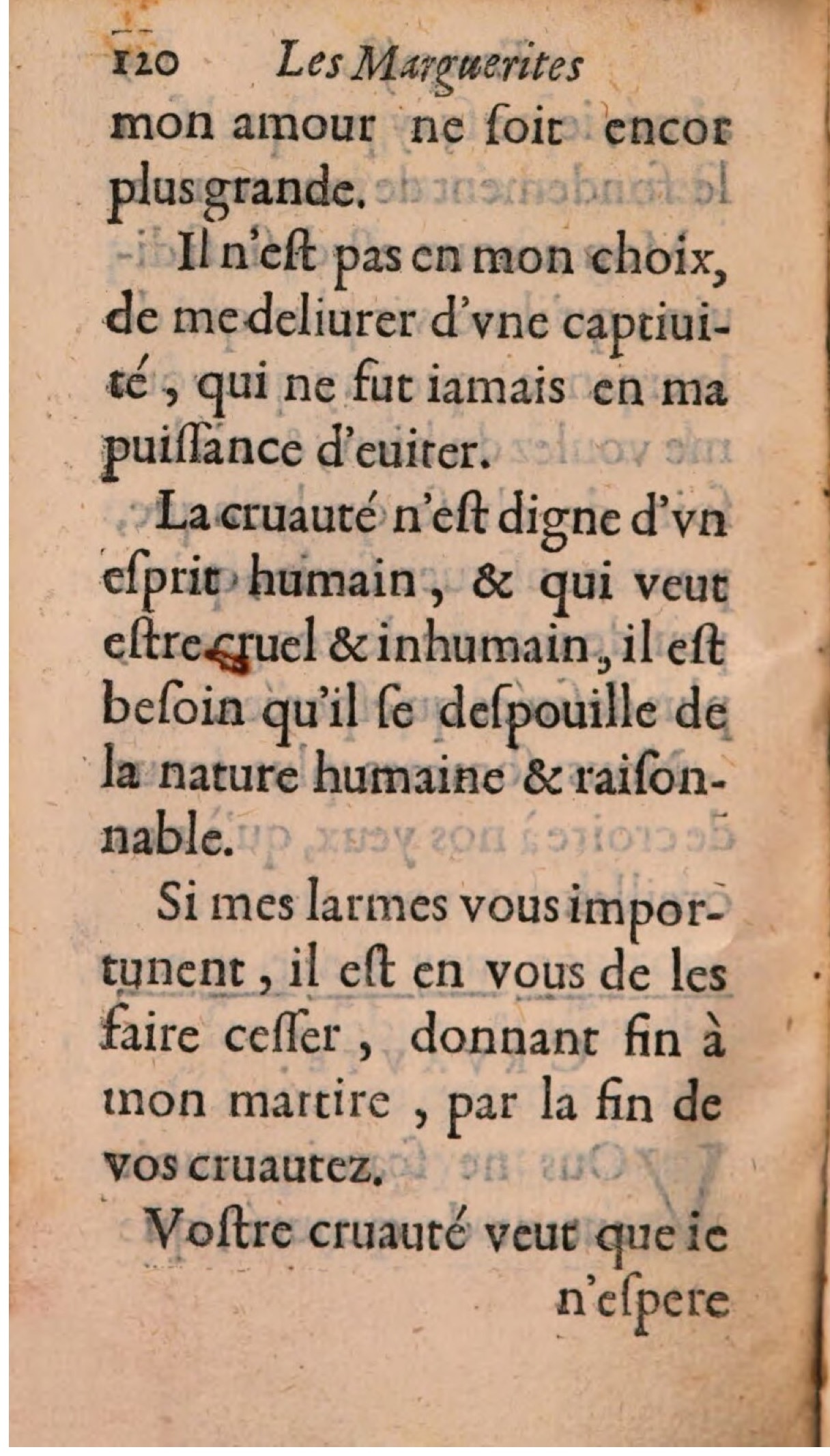 1608 Théodore Reinsart Les Marguerites françoises ou Thresor des Fleurs du bien-dire - BSB Munich-144.jpeg