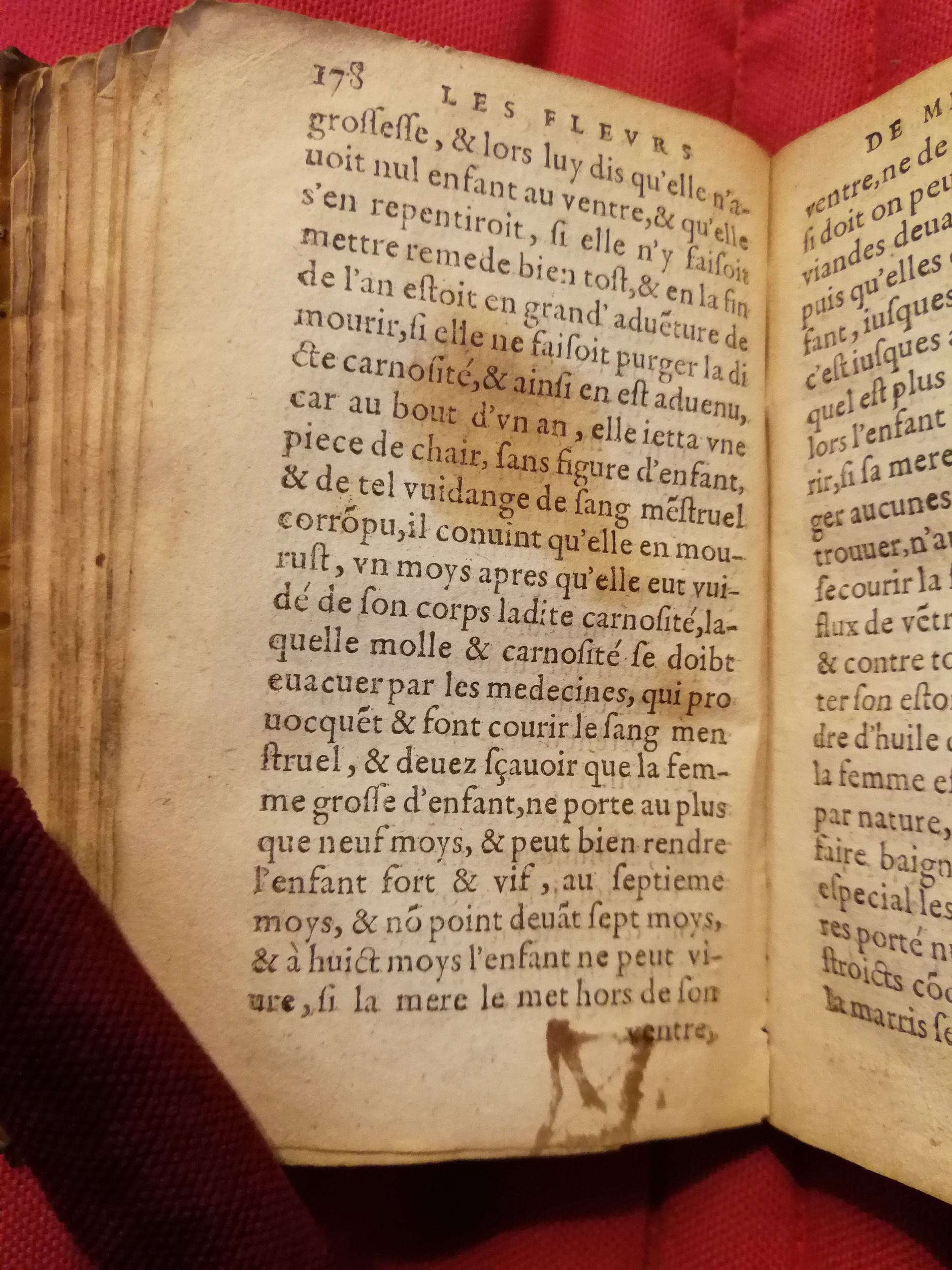 1586 - Benoît Rigaud - Trésor des fleurs et secrets de médecine - Sainte-Geneviève