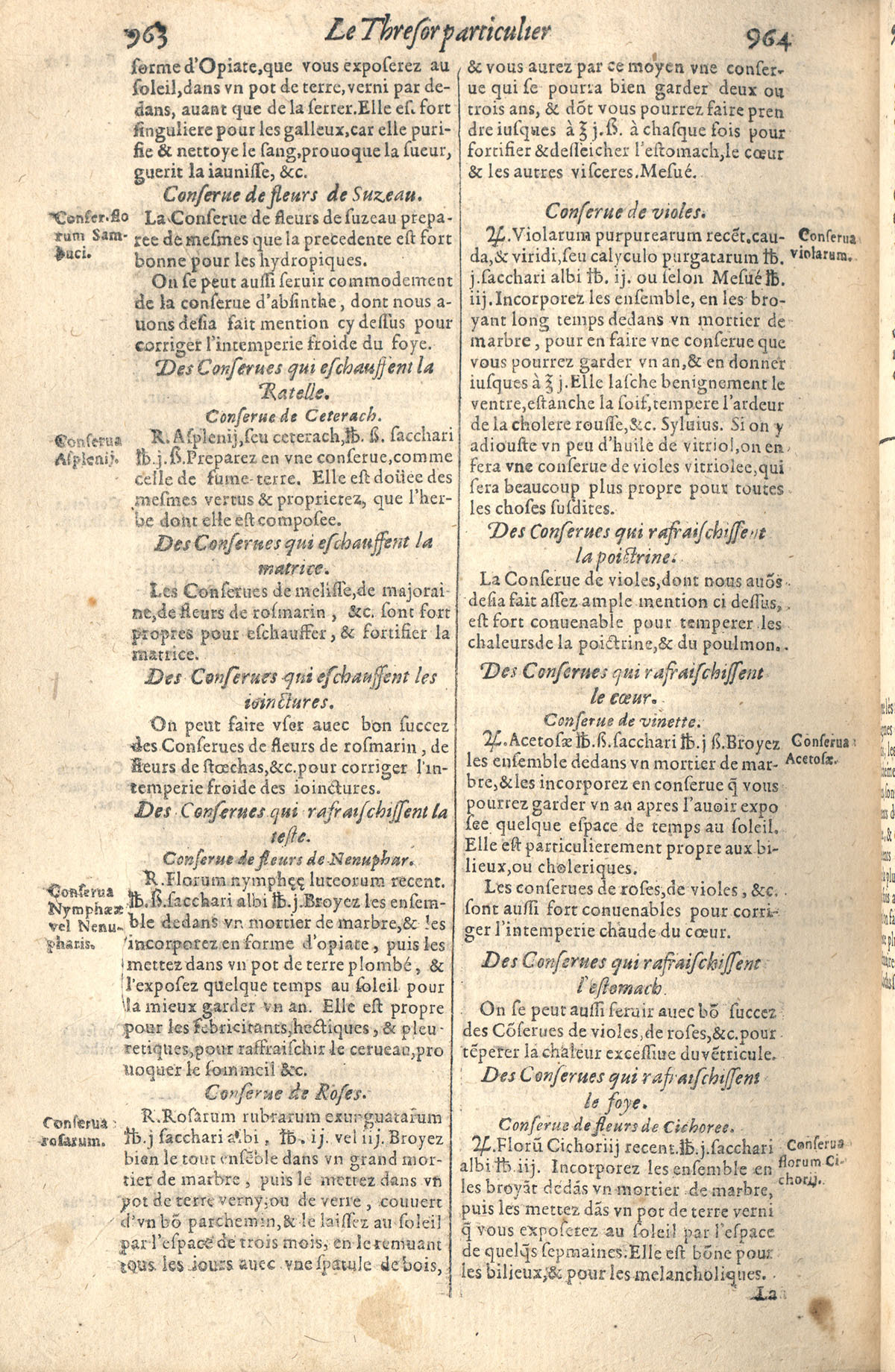 1610 - Étienne Gamonet - Grand Trésor ou dispensaire - CESR Tours