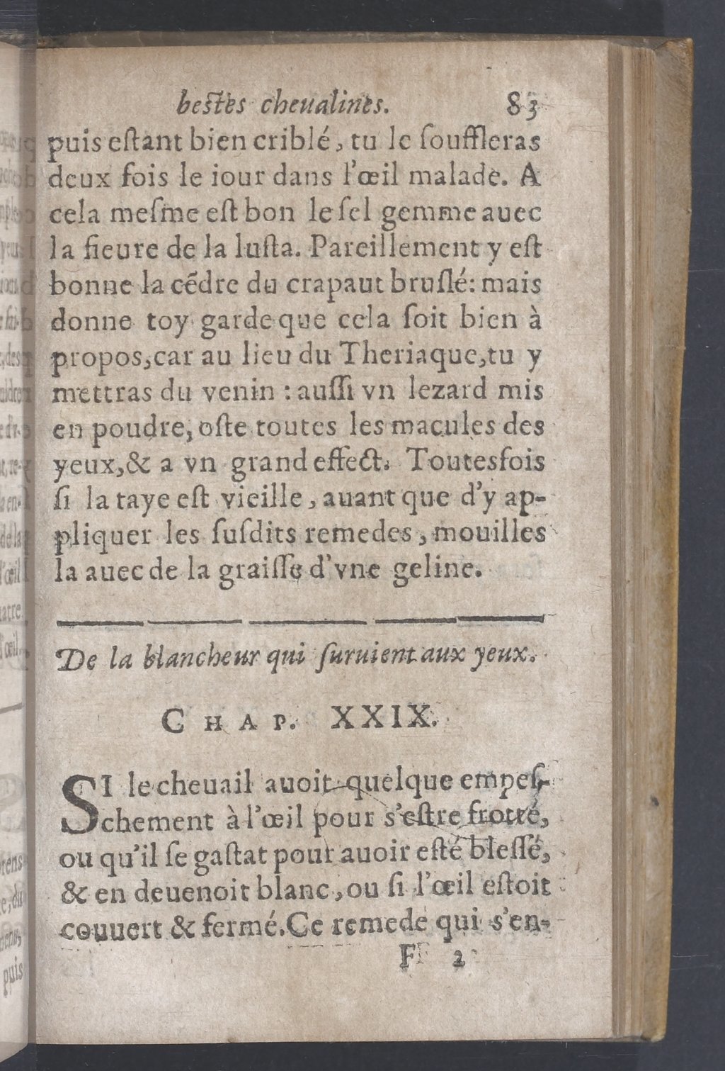 1619 - Pierre Rigaud - Trésor des bêtes chevalines - BnF