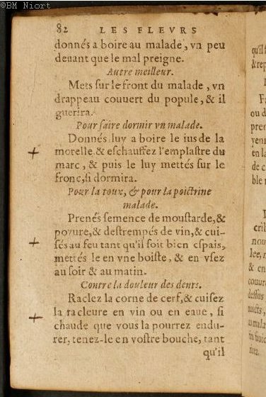 1586 - Benoît Rigaud - Trésor des fleurs et secrets de médecine - Université Paris Cité 1586 - Benoît Rigaud - Trésor des fleurs et secrets de médecine - Université Paris Cité