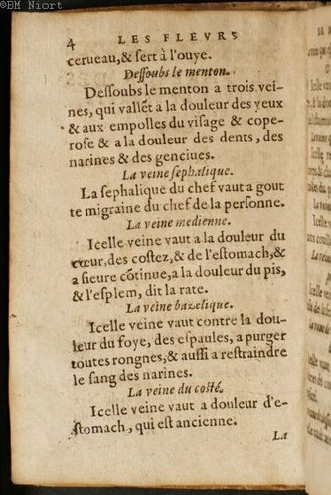 1586 - Benoît Rigaud - Trésor des fleurs et secrets de médecine - Université Paris Cité 1586 - Benoît Rigaud - Trésor des fleurs et secrets de médecine - Université Paris Cité