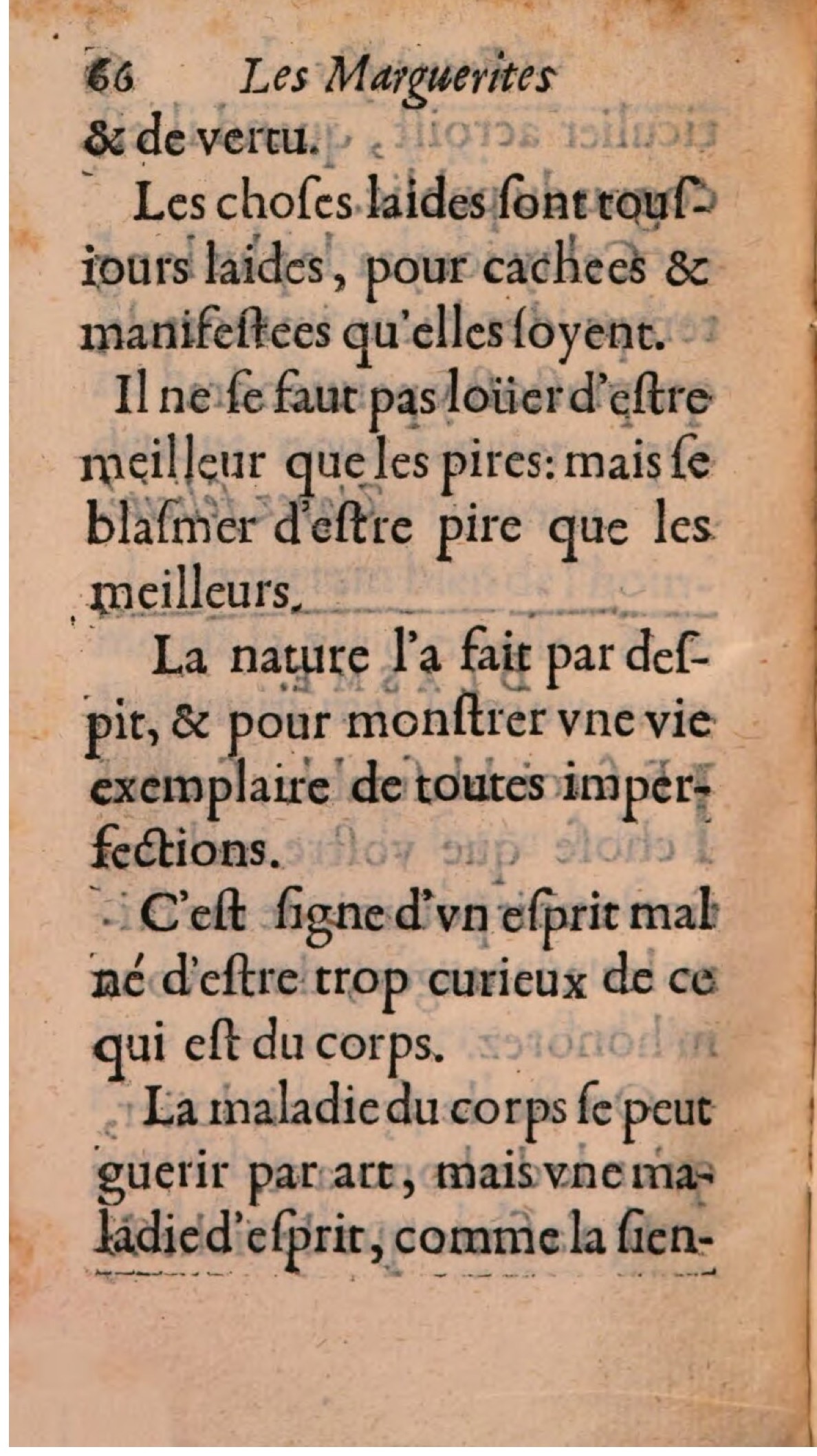 1608 - Théodore Reinsart - Les Marguerites françaises ou Trésor des Fleurs du bien-dire - BSB Munich