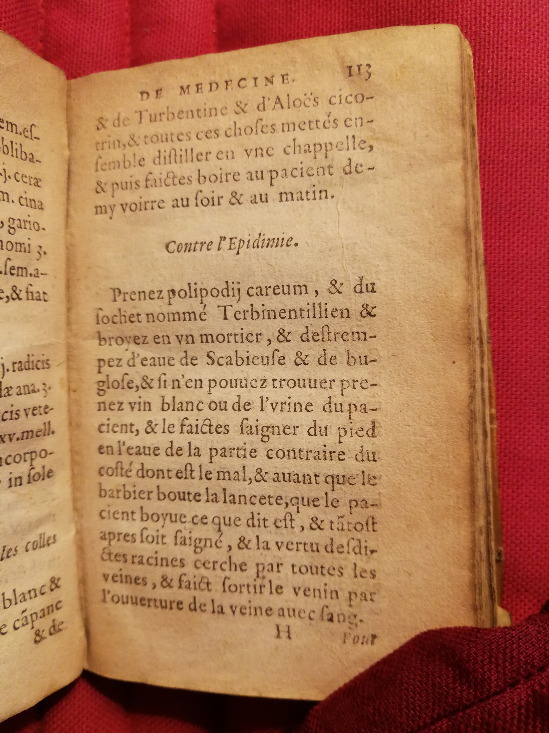 1586 - Benoît Rigaud - Trésor des fleurs et secrets de médecine - Sainte-Geneviève