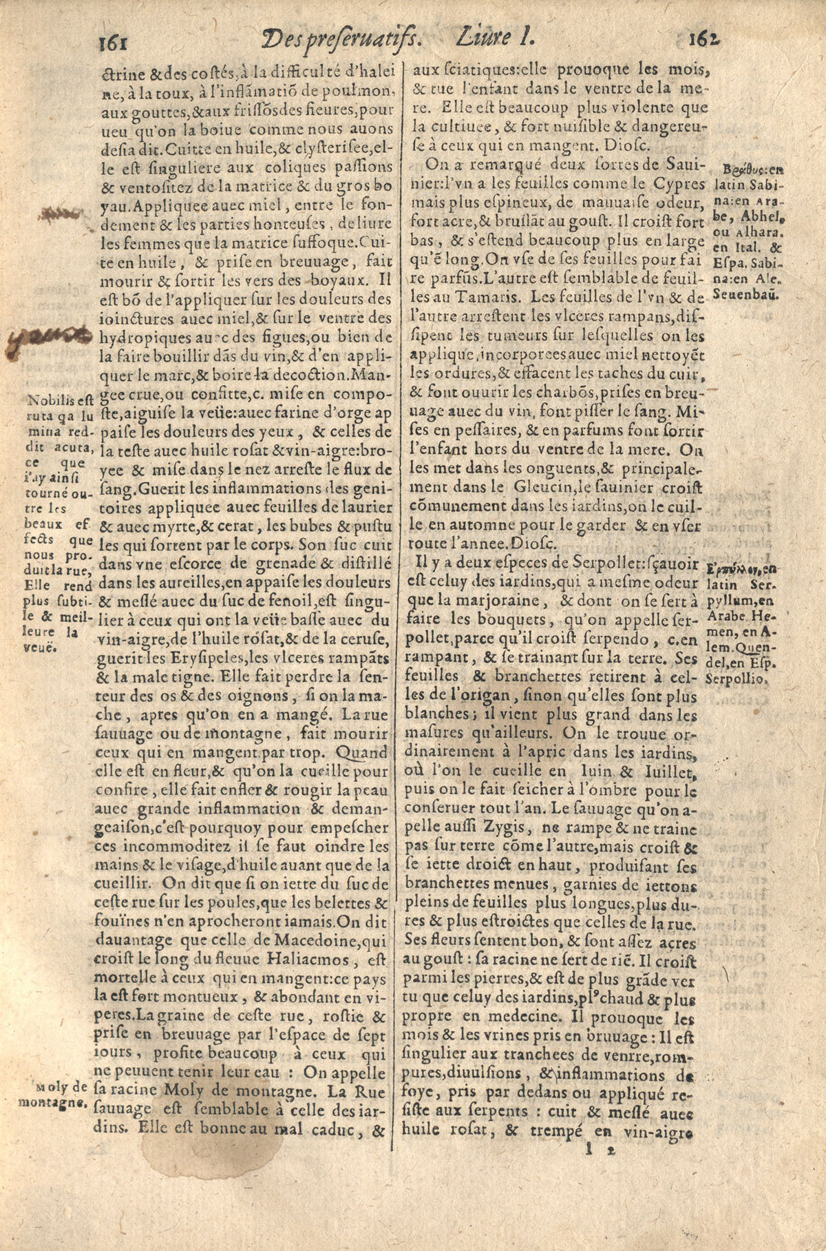 1610 - Étienne Gamonet - Grand Trésor ou dispensaire - CESR Tours 1610 - Étienne Gamonet - Grand Trésor ou dispensaire - CESR Tours