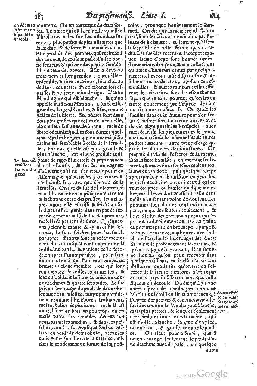 1616 - Étienne Gamonet - Grand trésor ou dispensaire - BSB Munich