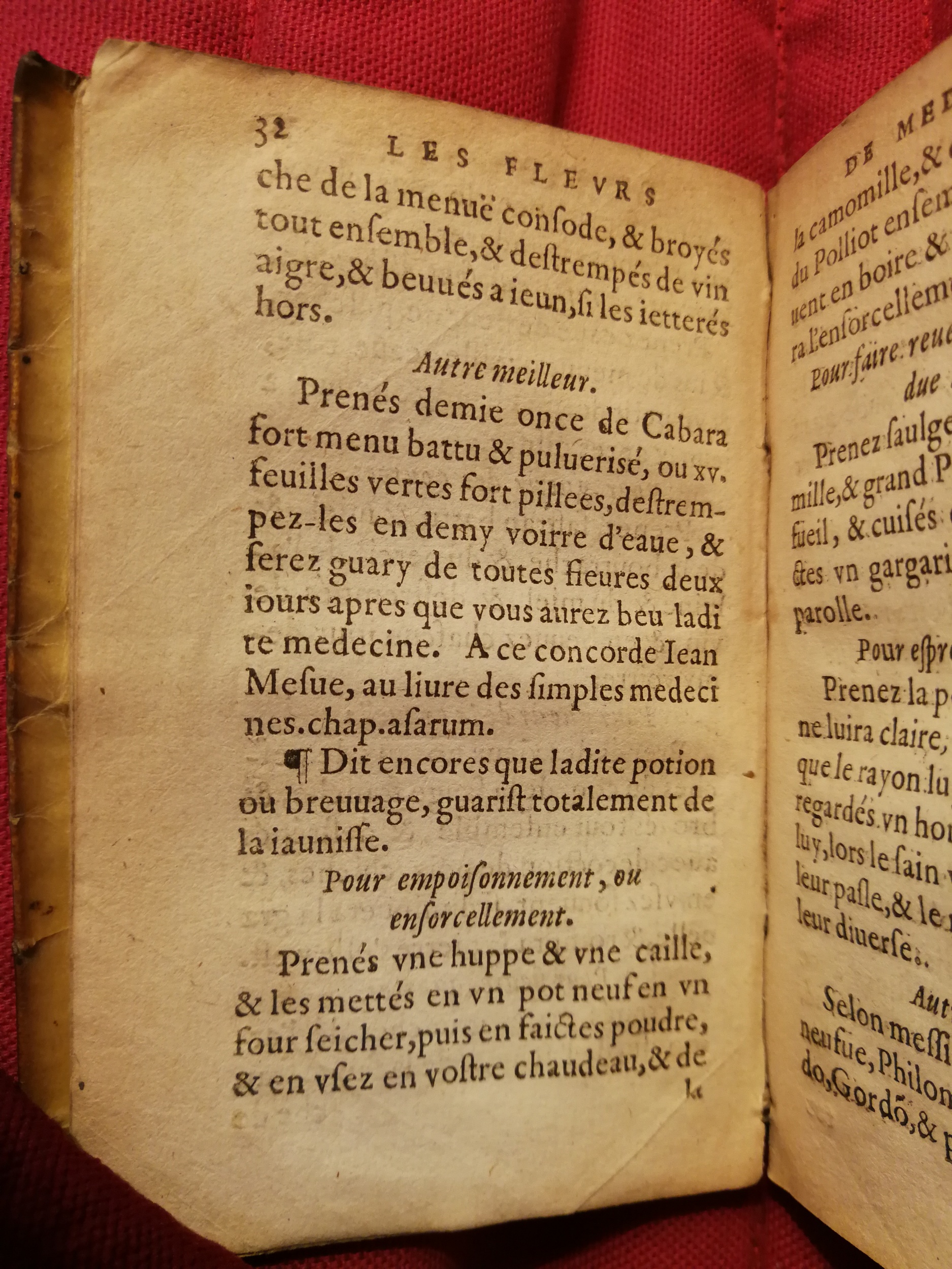 1586 - Benoît Rigaud - Trésor des fleurs et secrets de médecine - Sainte-Geneviève