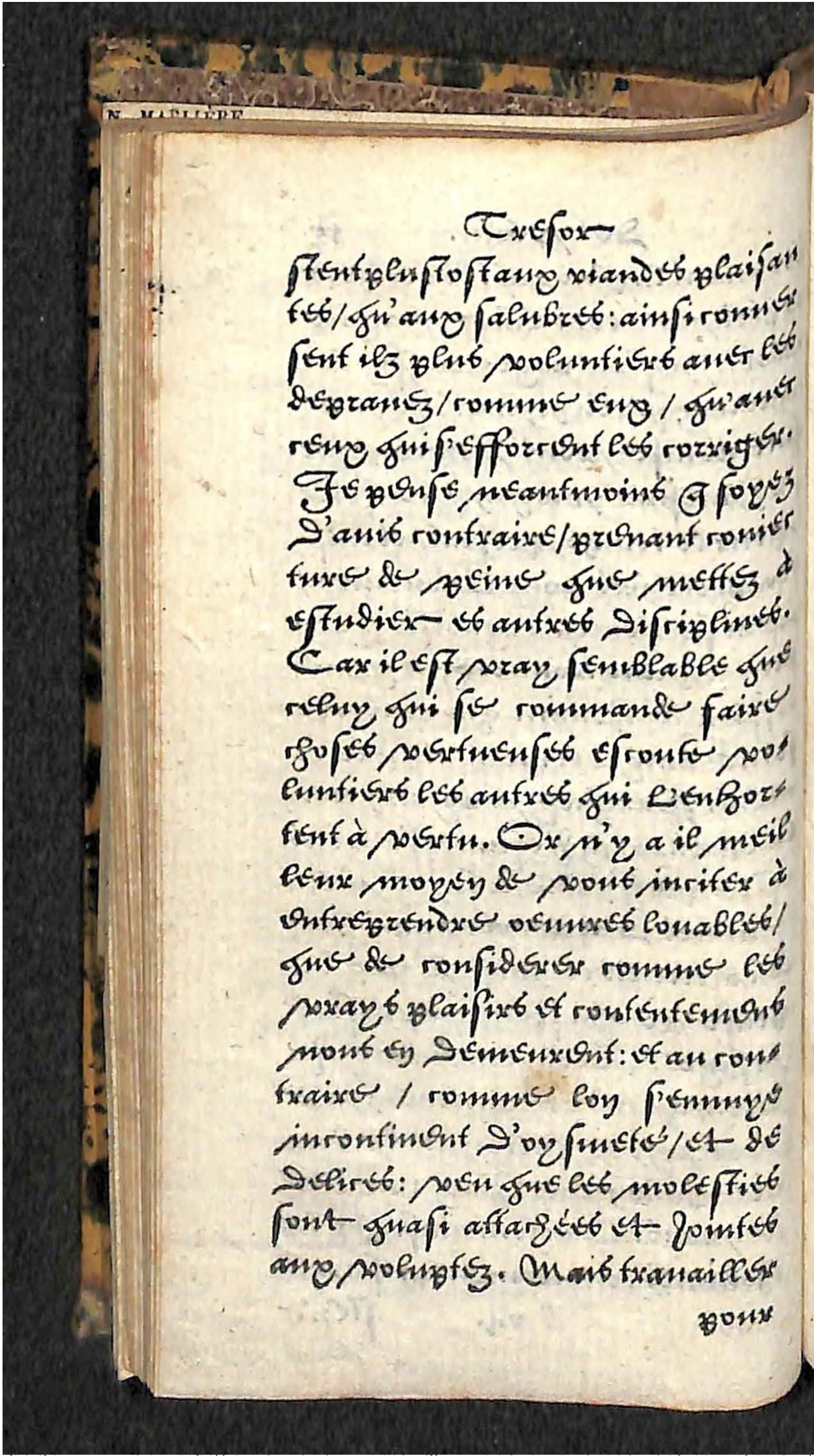 1560 - Hans de Laet - Trésor de vertu - Angers-archives