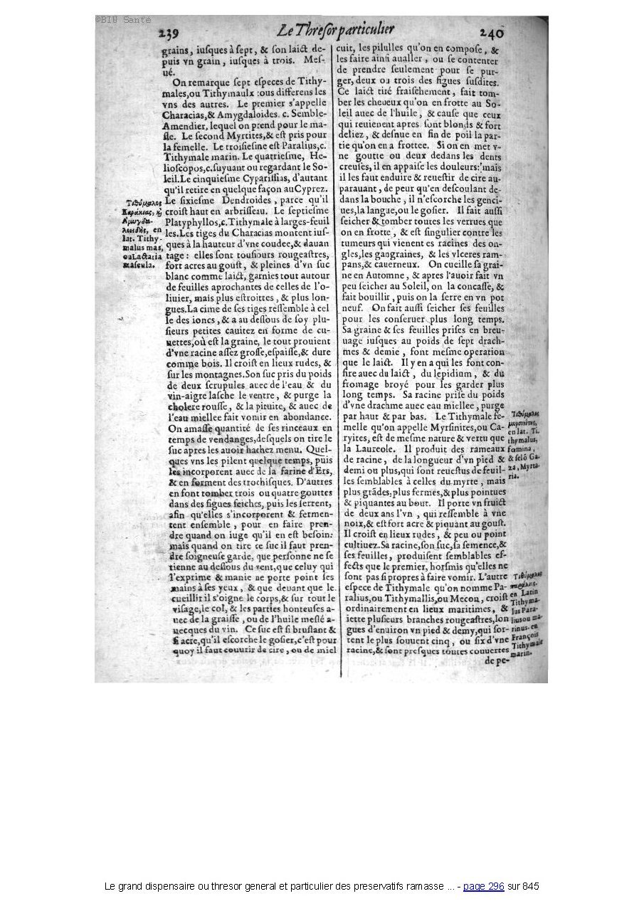 1609 - Étienne Gamonet - Grand dispensaire ou Trésor général et particulier des préservatifs - BIU Santé 1609 - Étienne Gamonet - Grand dispensaire ou Trésor général et particulier des préservatifs - BIU Santé