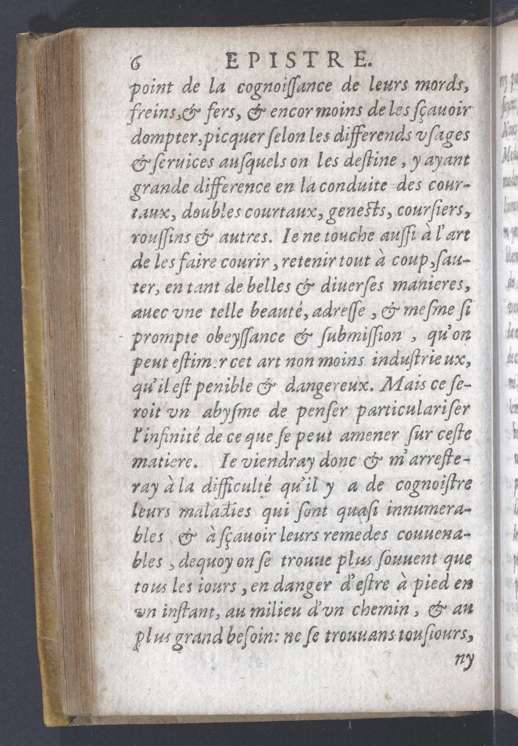 1619 - Pierre Rigaud - Trésor des bêtes chevalines - BnF 1619 - Pierre Rigaud - Trésor des bêtes chevalines - BnF