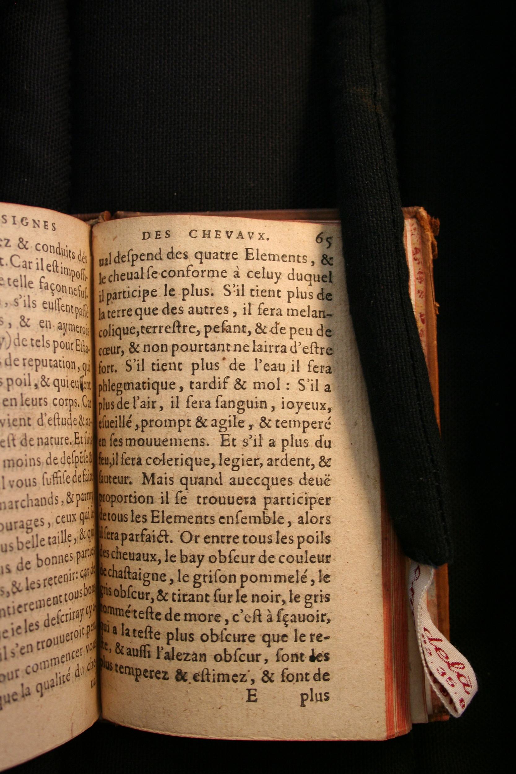 1591 - Pierre Chastaing et Benoît Rigaud - Trésor des bêtes chevalines - BM Bordeaux