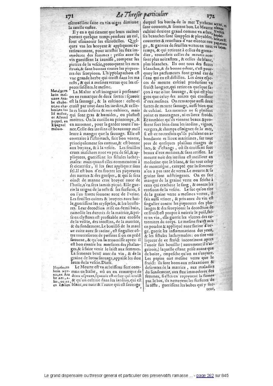 1609 - Étienne Gamonet - Grand dispensaire ou Trésor général et particulier des préservatifs - BIU Santé 1609 - Étienne Gamonet - Grand dispensaire ou Trésor général et particulier des préservatifs - BIU Santé