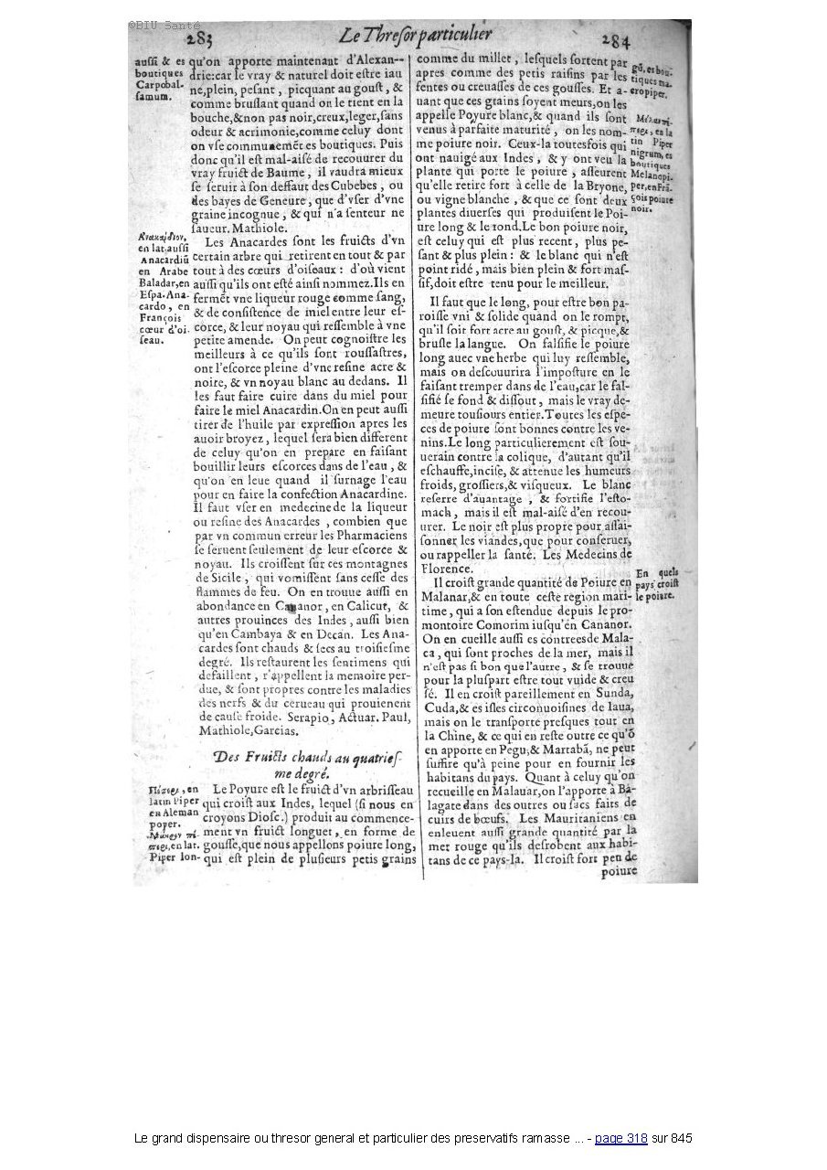 1609 - Étienne Gamonet - Grand dispensaire ou Trésor général et particulier des préservatifs - BIU Santé 1609 - Étienne Gamonet - Grand dispensaire ou Trésor général et particulier des préservatifs - BIU Santé