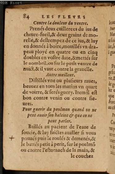 1586 - Benoît Rigaud - Trésor des fleurs et secrets de médecine - Université Paris Cité 1586 - Benoît Rigaud - Trésor des fleurs et secrets de médecine - Université Paris Cité