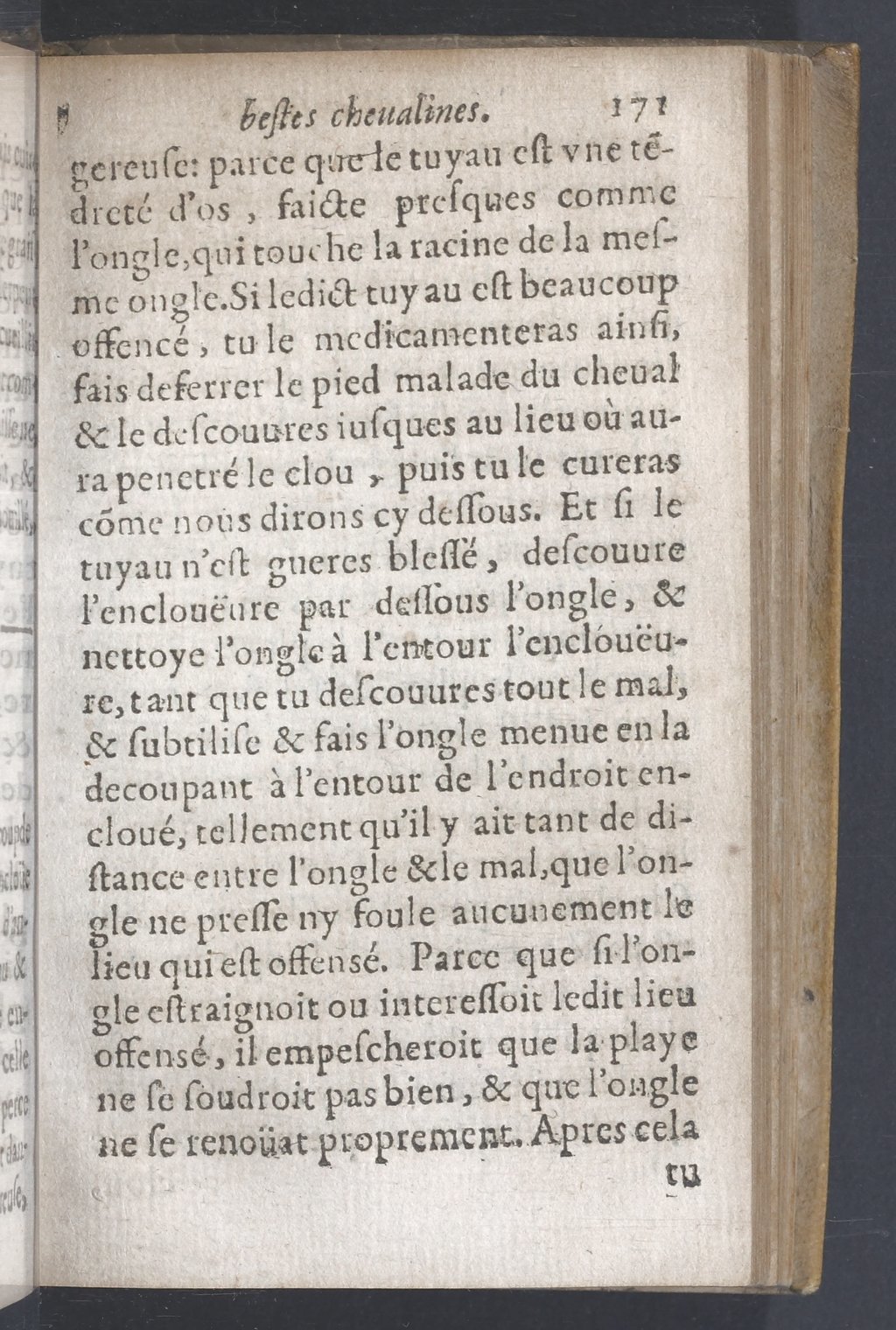 1619 - Pierre Rigaud - Trésor des bêtes chevalines - BnF 1619 - Pierre Rigaud - Trésor des bêtes chevalines - BnF