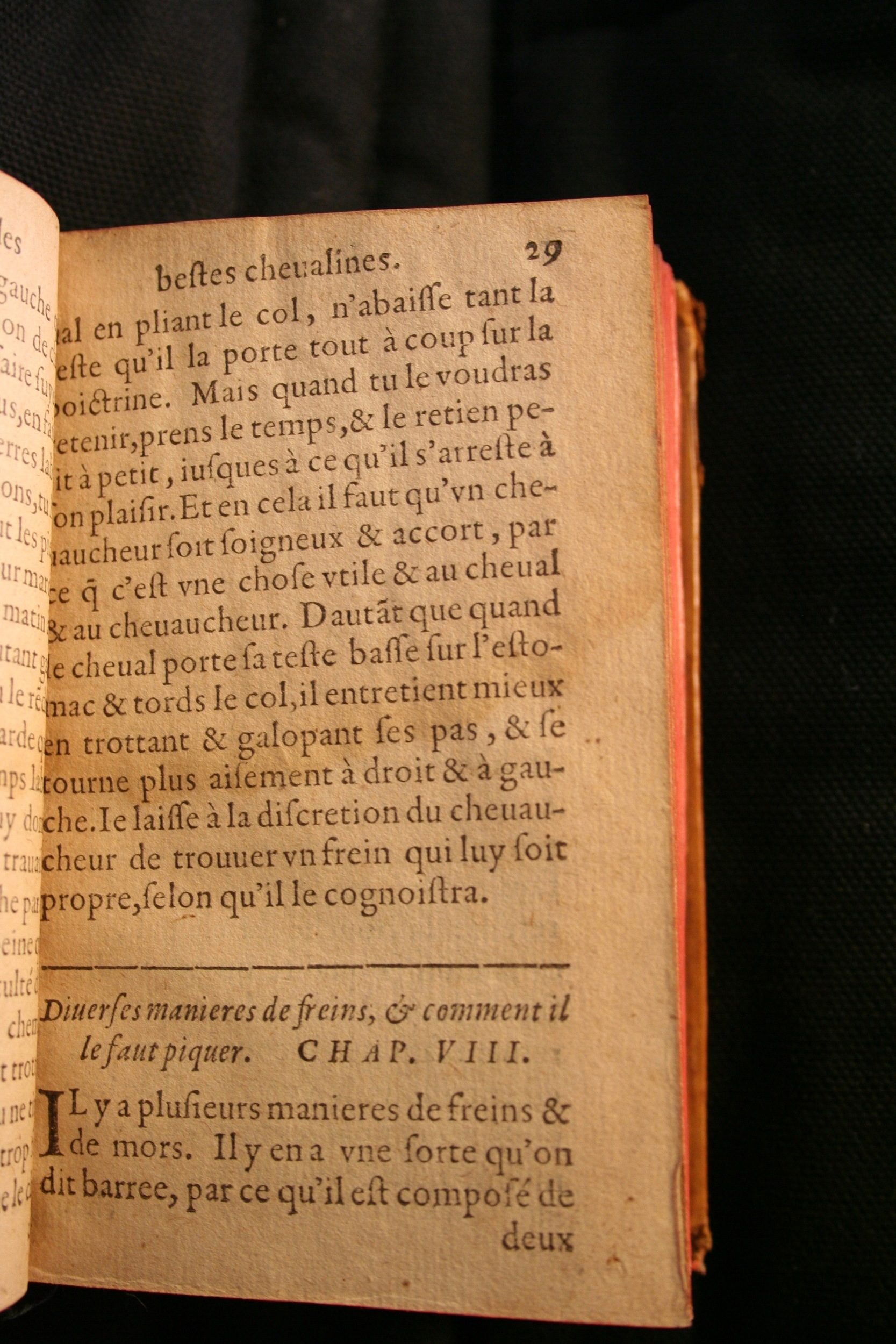1591 - Pierre Chastaing et Benoît Rigaud - Trésor des bêtes chevalines - BM Bordeaux
