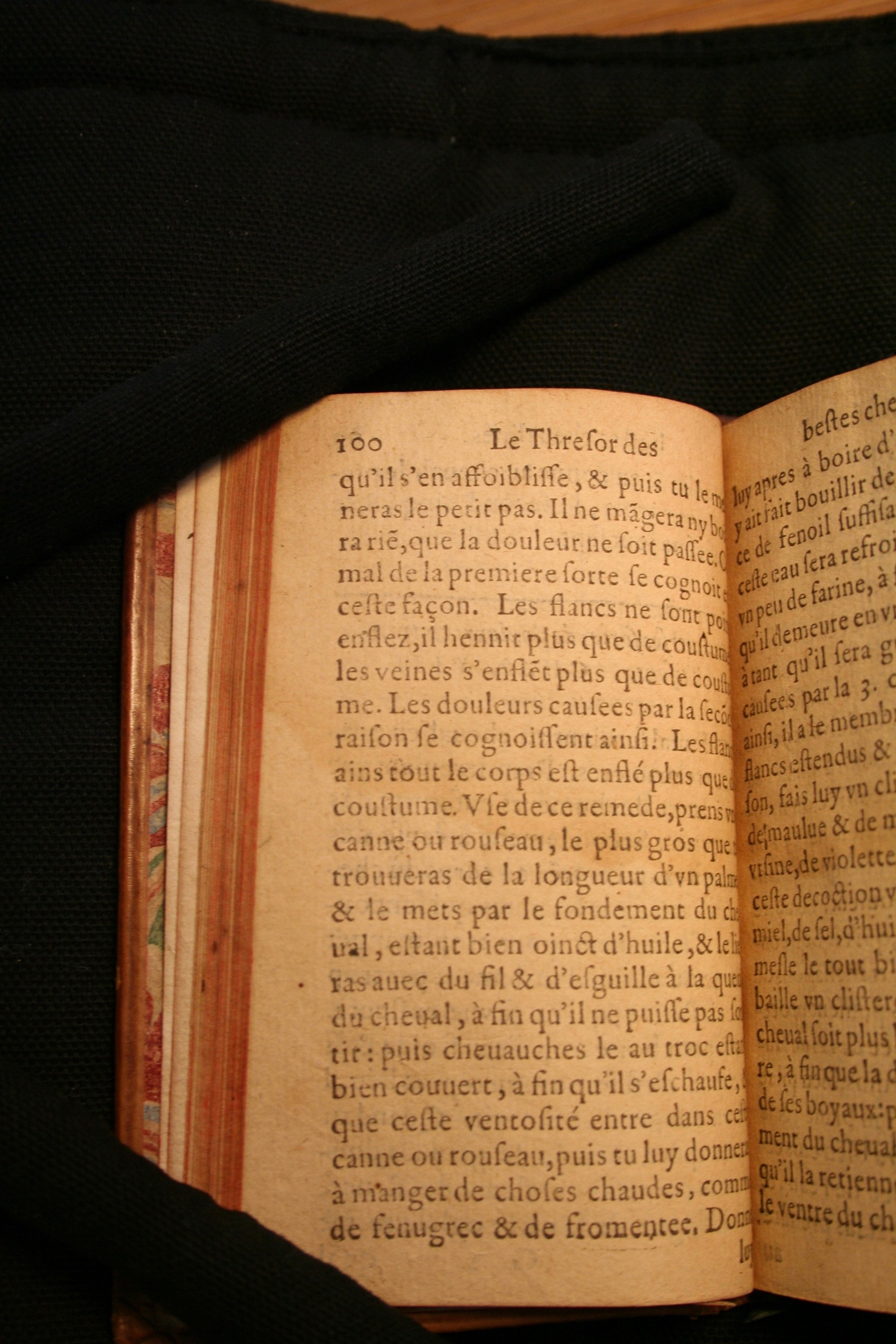 1591 - Pierre Chastaing et Benoît Rigaud - Trésor des bêtes chevalines - BM Bordeaux