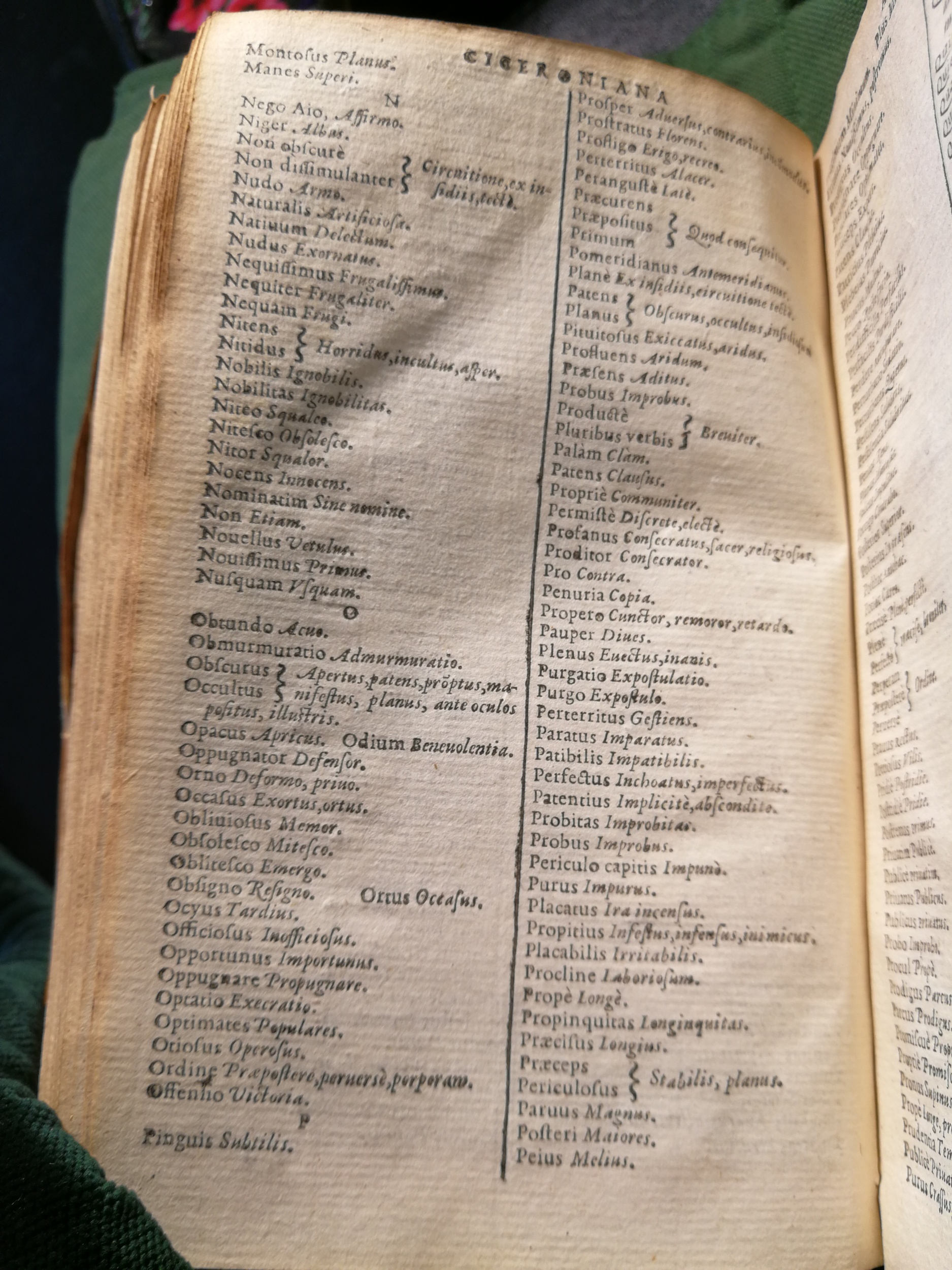 1597 - Martin le Mégissier - Trésor des mots et traits français - BnF
