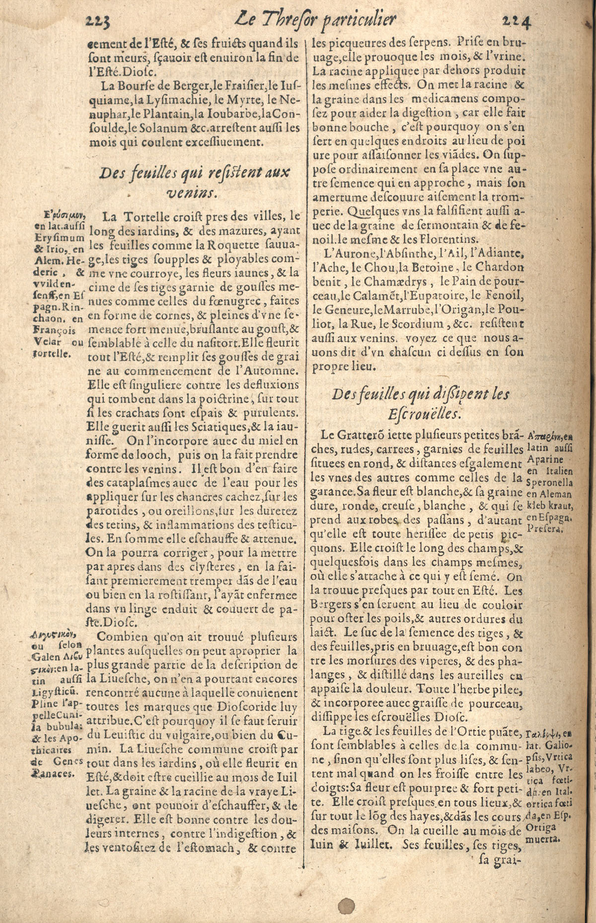 1610 - Étienne Gamonet - Grand Trésor ou dispensaire - CESR Tours