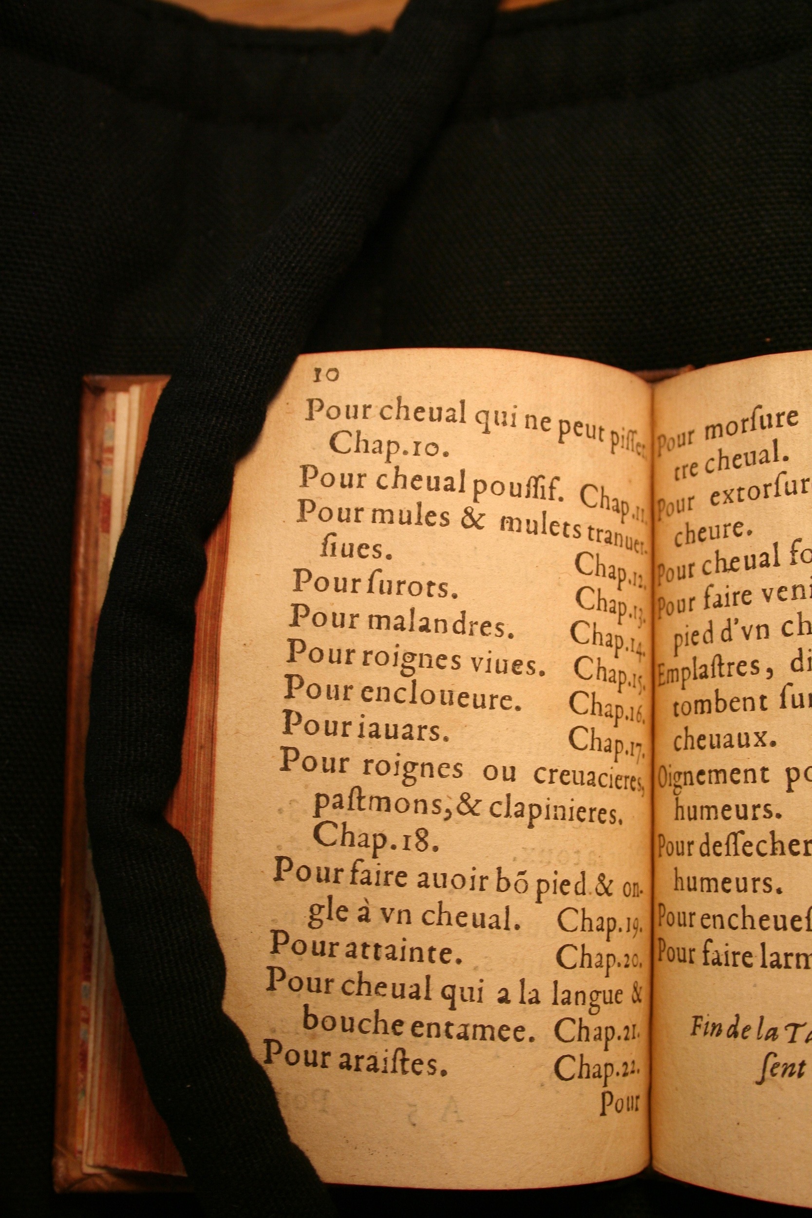 1591 - Pierre Chastaing et Benoît Rigaud - Trésor des bêtes chevalines - BM Bordeaux