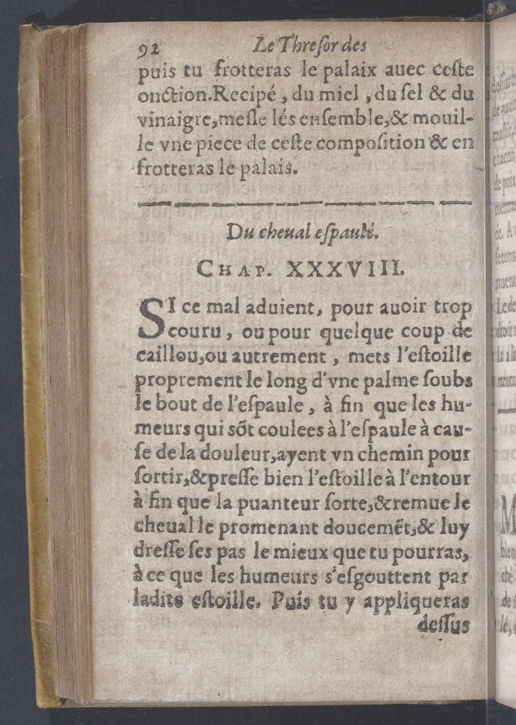 1619 - Pierre Rigaud - Trésor des bêtes chevalines - BnF 1619 - Pierre Rigaud - Trésor des bêtes chevalines - BnF