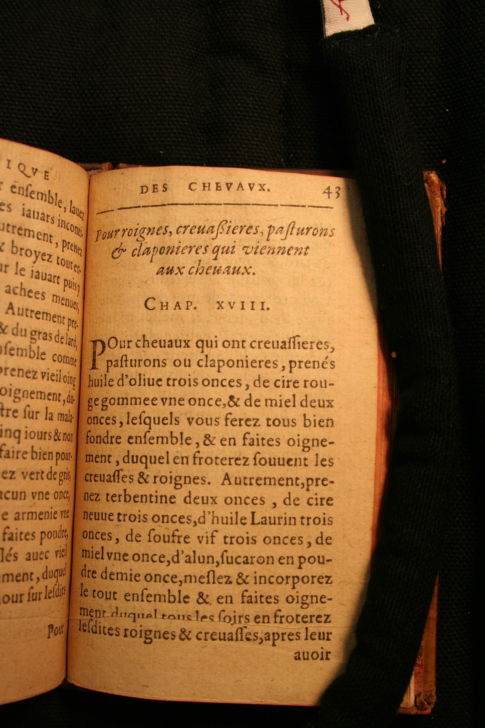 1591 - Pierre Chastaing et Benoît Rigaud - Trésor des bêtes chevalines - BM Bordeaux