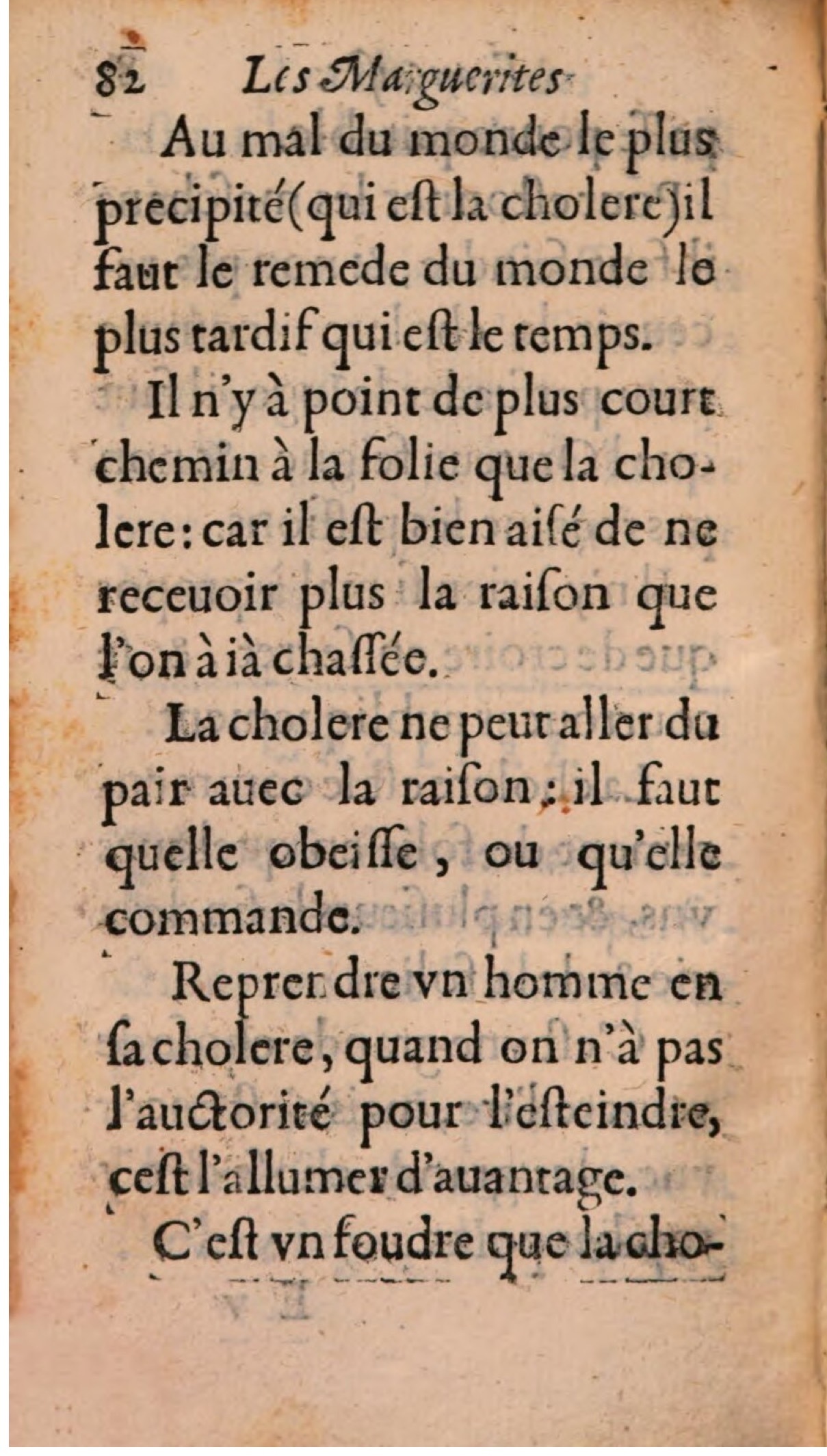 1608 - Théodore Reinsart - Les Marguerites françaises ou Trésor des Fleurs du bien-dire - BSB Munich