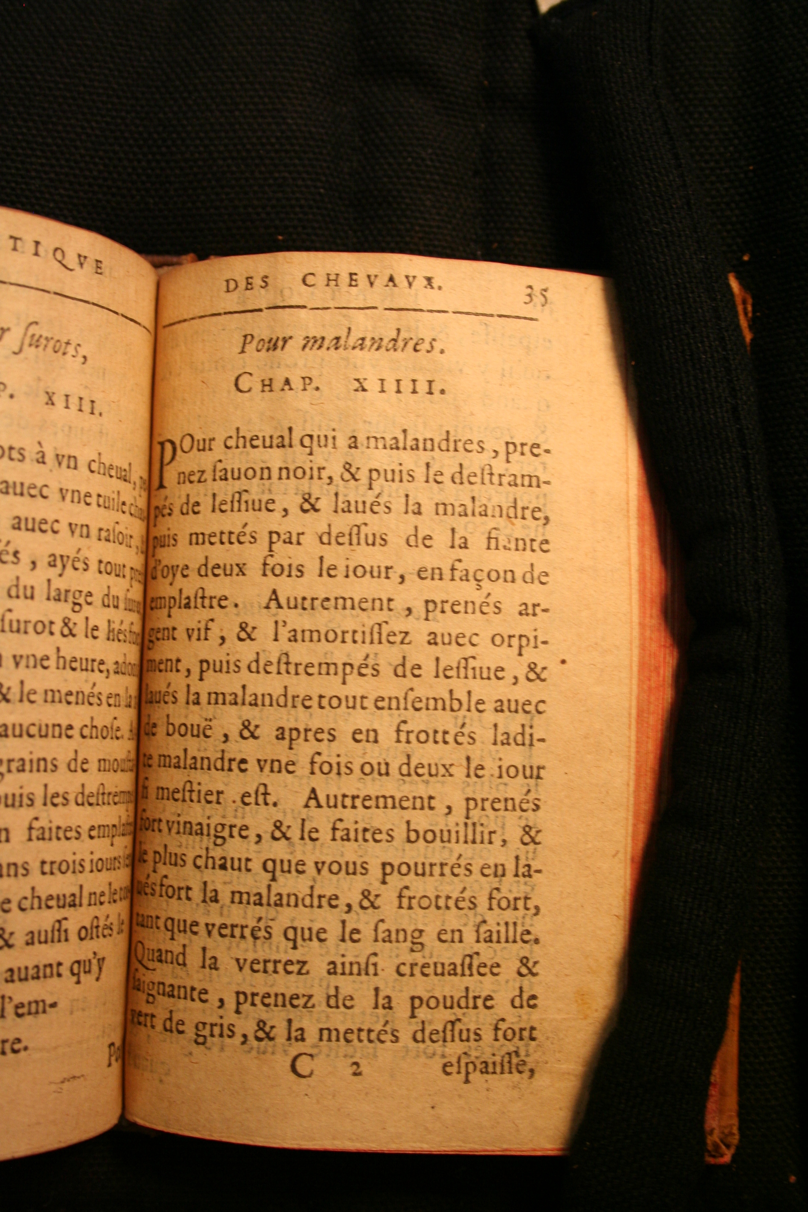 1591 - Pierre Chastaing et Benoît Rigaud - Trésor des bêtes chevalines - BM Bordeaux