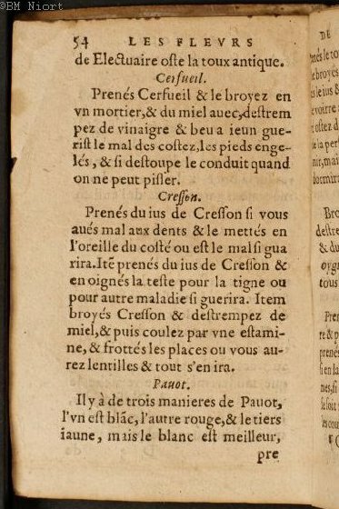 1586 - Benoît Rigaud - Trésor des fleurs et secrets de médecine - Université Paris Cité 1586 - Benoît Rigaud - Trésor des fleurs et secrets de médecine - Université Paris Cité
