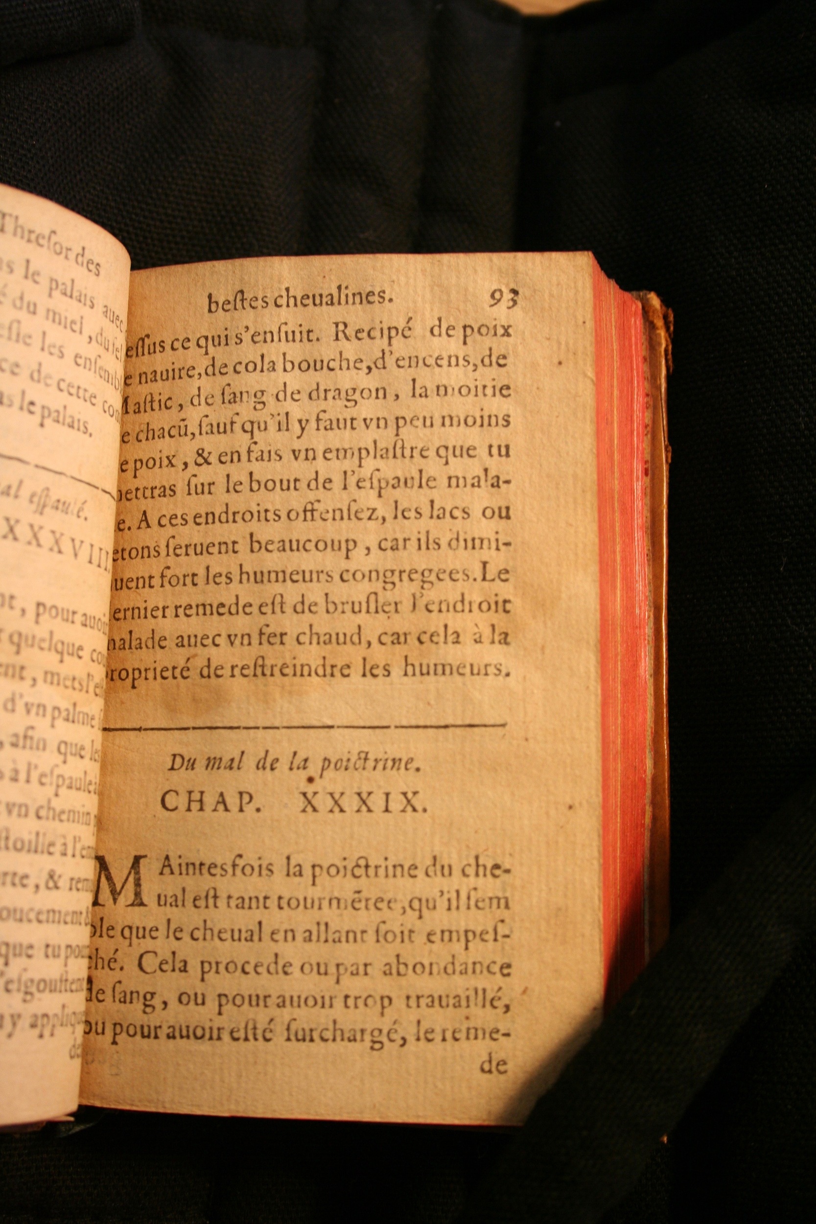 1591 - Pierre Chastaing et Benoît Rigaud - Trésor des bêtes chevalines - BM Bordeaux