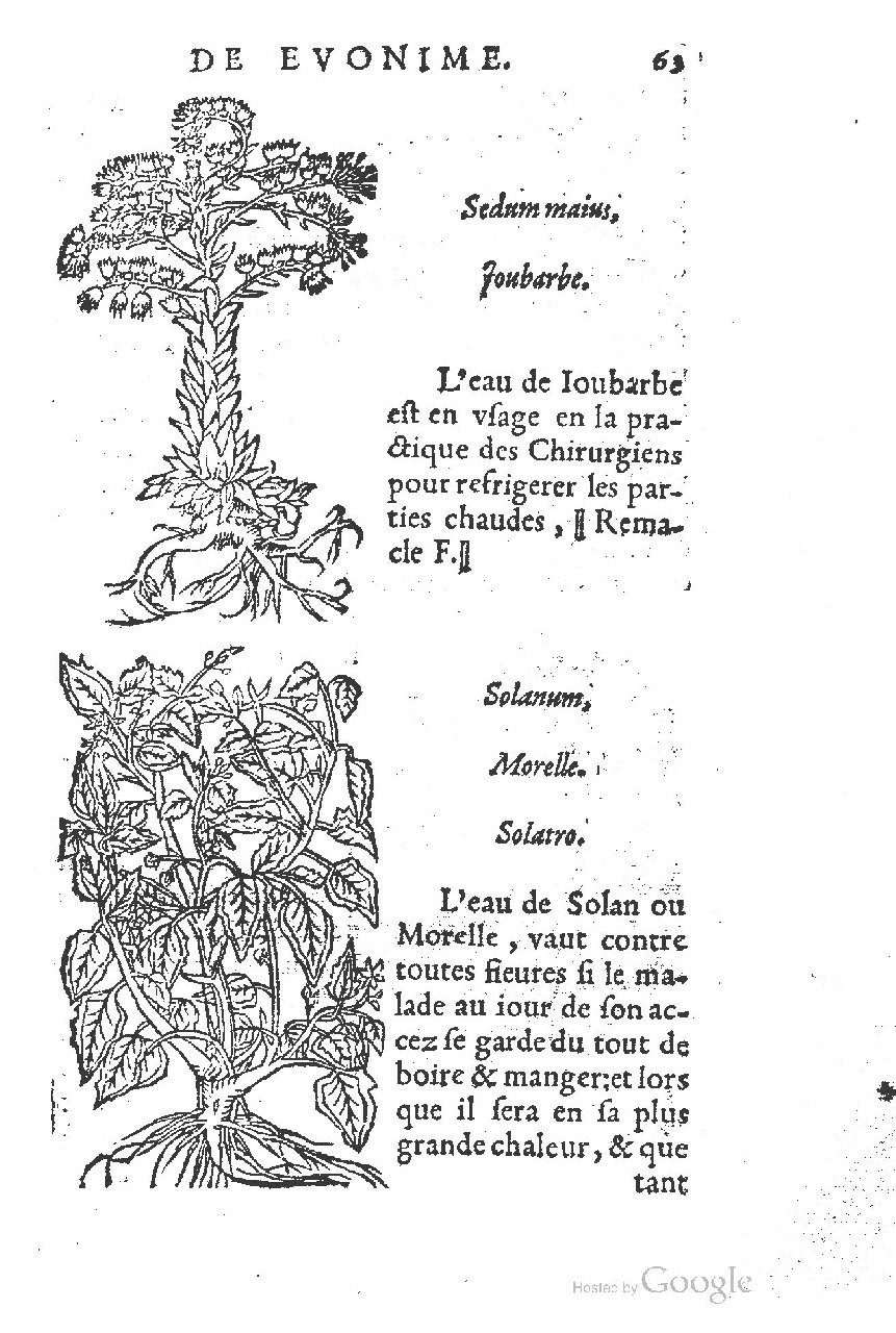 1557 - Antoine Vincent - Trésor d’Evonyme Philiatre - UC Madrid