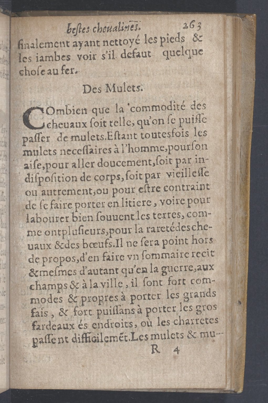 1619 - Pierre Rigaud - Trésor des bêtes chevalines - BnF