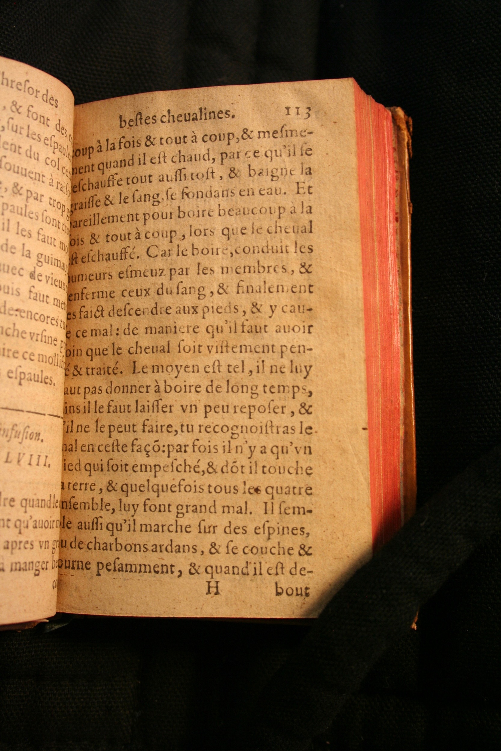 1591 - Pierre Chastaing et Benoît Rigaud - Trésor des bêtes chevalines - BM Bordeaux
