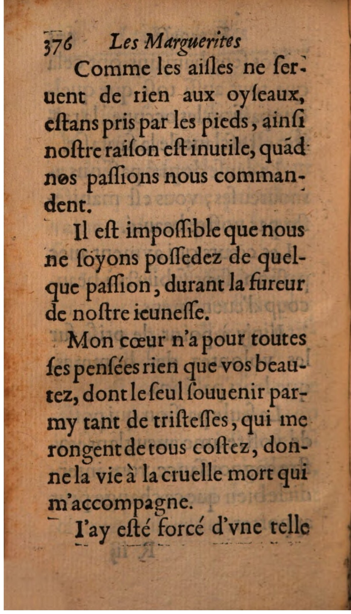 1608 - Théodore Reinsart - Les Marguerites françaises ou Trésor des Fleurs du bien-dire - BSB Munich