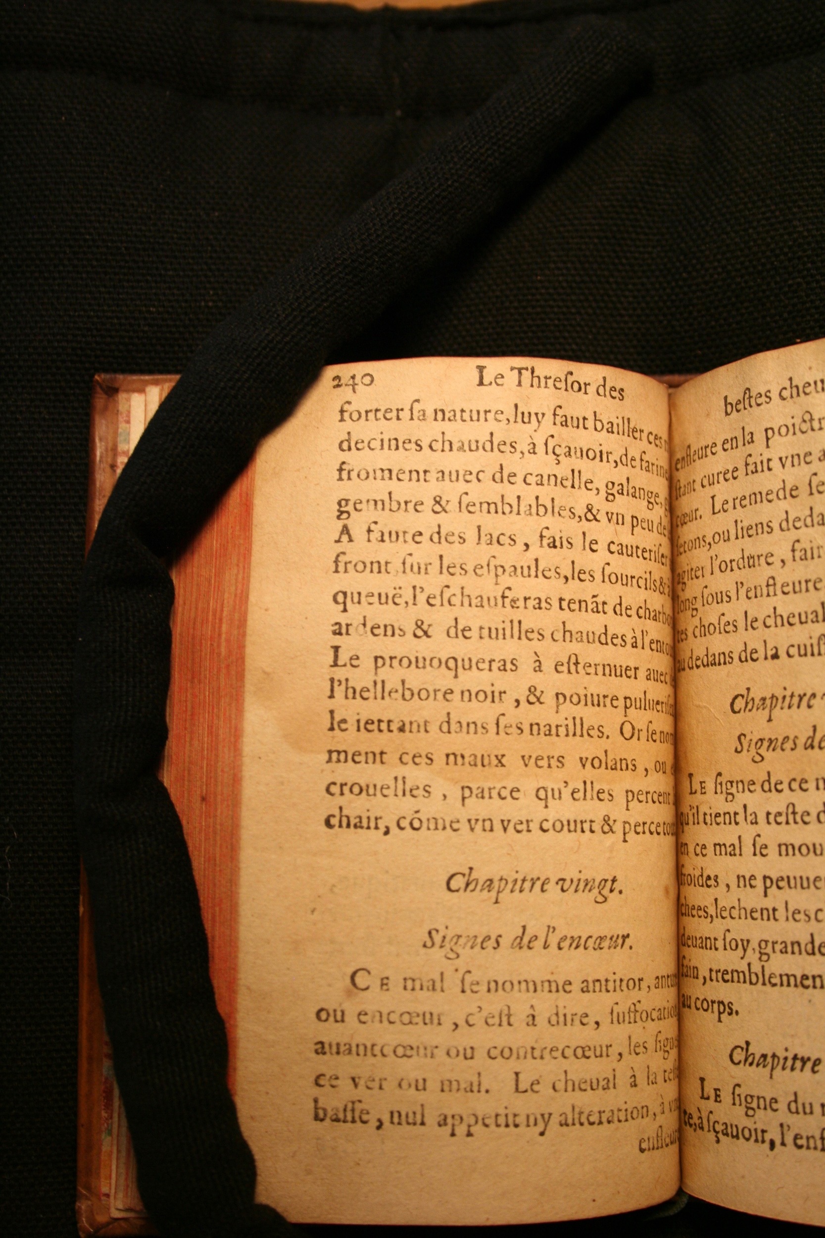 1591 - Pierre Chastaing et Benoît Rigaud - Trésor des bêtes chevalines - BM Bordeaux