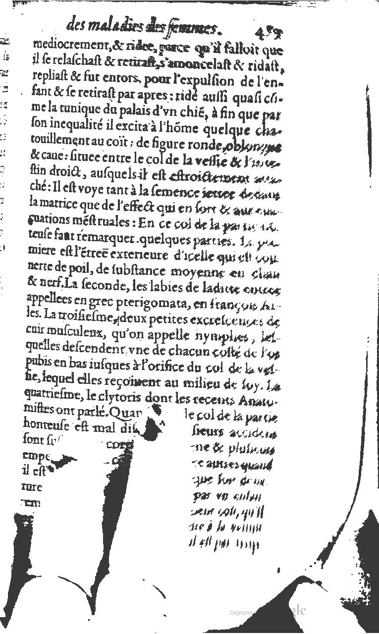 1617 - Jean Le Bouc - Trésor des remèdes secrets - BM Lyon