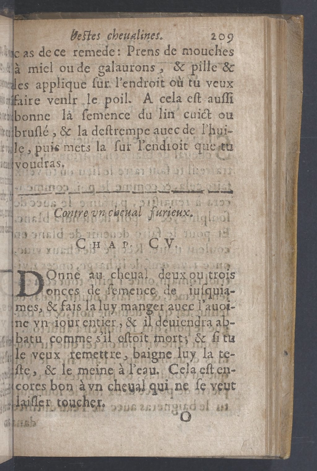 1619 - Pierre Rigaud - Trésor des bêtes chevalines - BnF 1619 - Pierre Rigaud - Trésor des bêtes chevalines - BnF