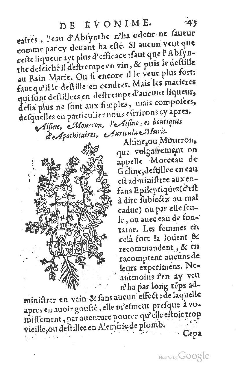 1557 - Antoine Vincent - Trésor d’Evonyme Philiatre - UC Madrid