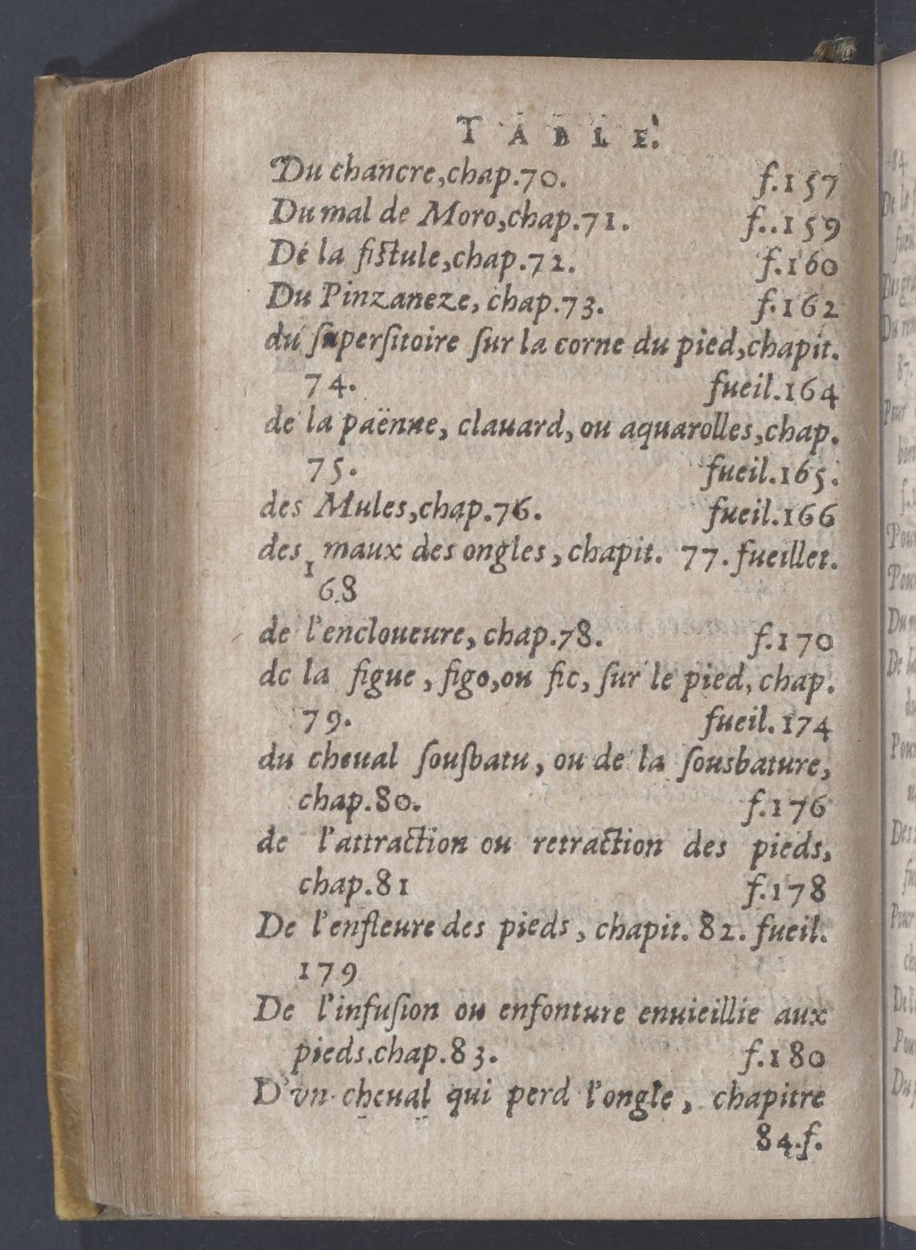 1619 - Pierre Rigaud - Trésor des bêtes chevalines - BnF 1619 - Pierre Rigaud - Trésor des bêtes chevalines - BnF