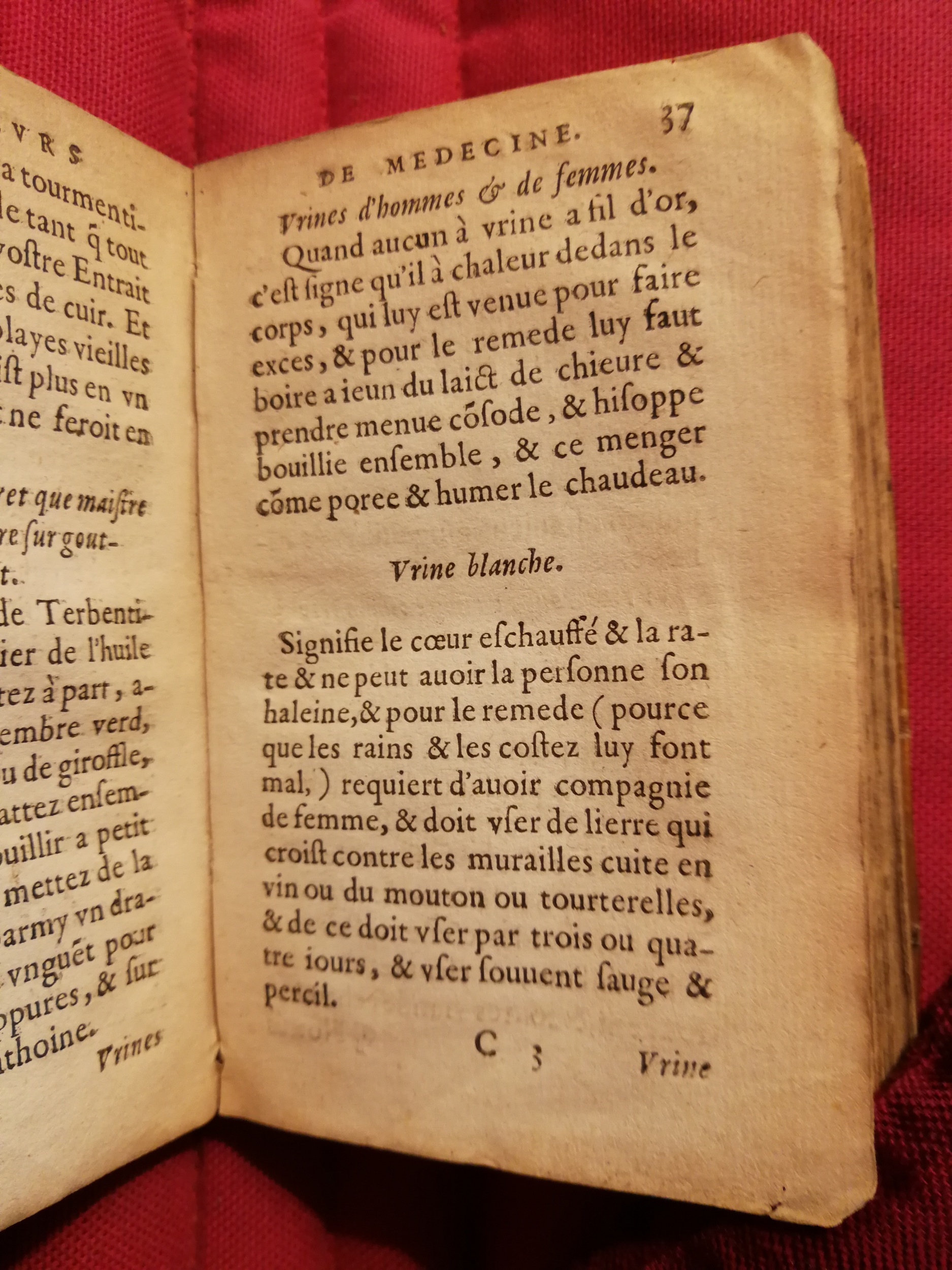 1586 - Benoît Rigaud - Trésor des fleurs et secrets de médecine - Sainte-Geneviève