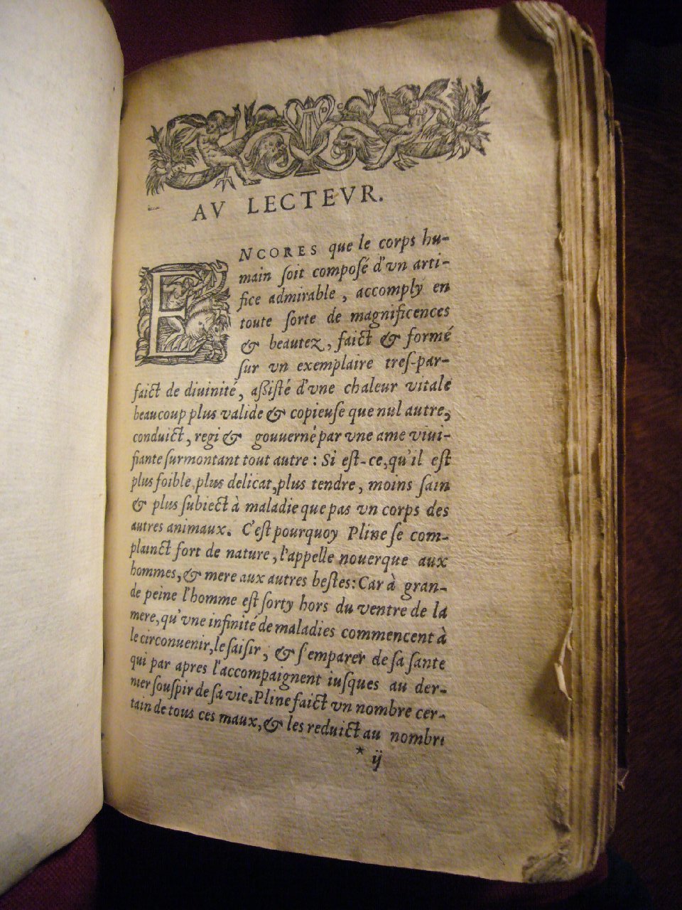1585 - Jacques du Puis - Trésor des remèdes secrets pour les maladies des femmes - BnF