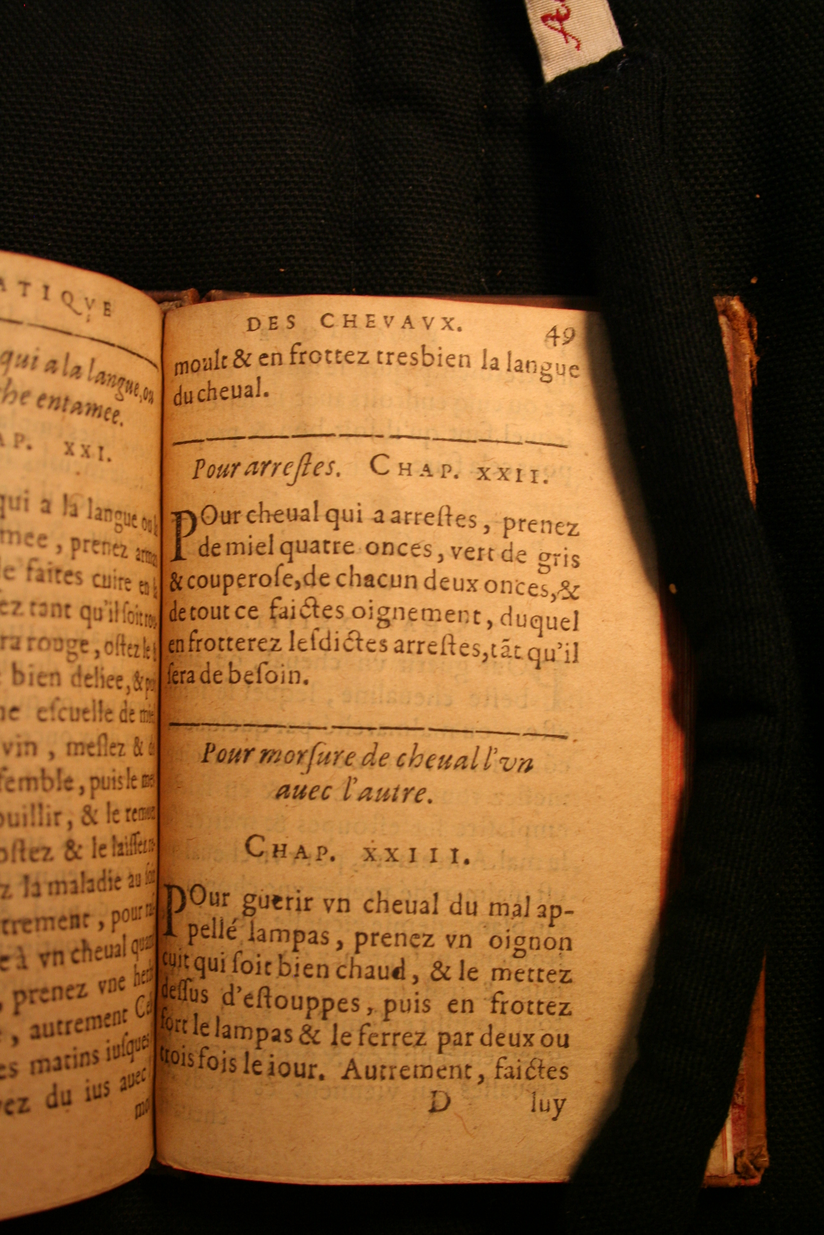 1591 - Pierre Chastaing et Benoît Rigaud - Trésor des bêtes chevalines - BM Bordeaux