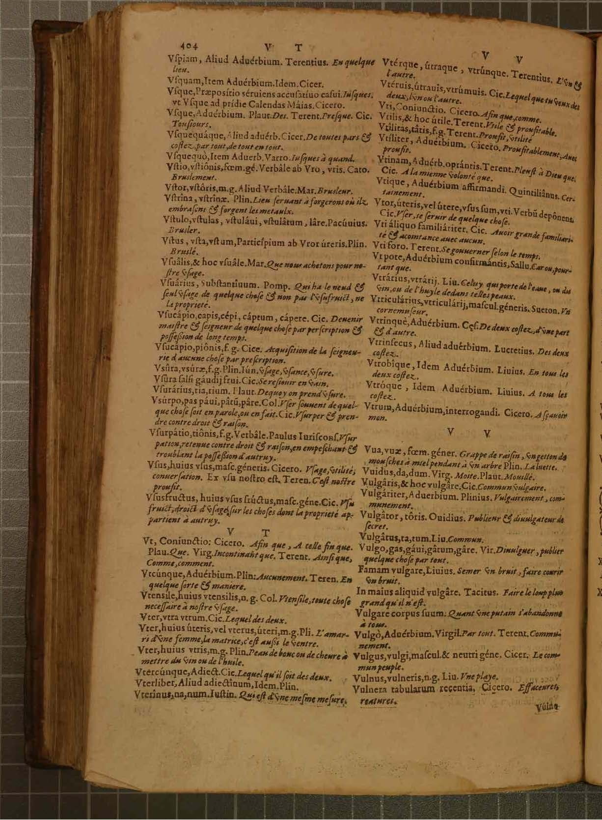 1578 - Étienne Michel - Trésor des mots et traits français - Blois
