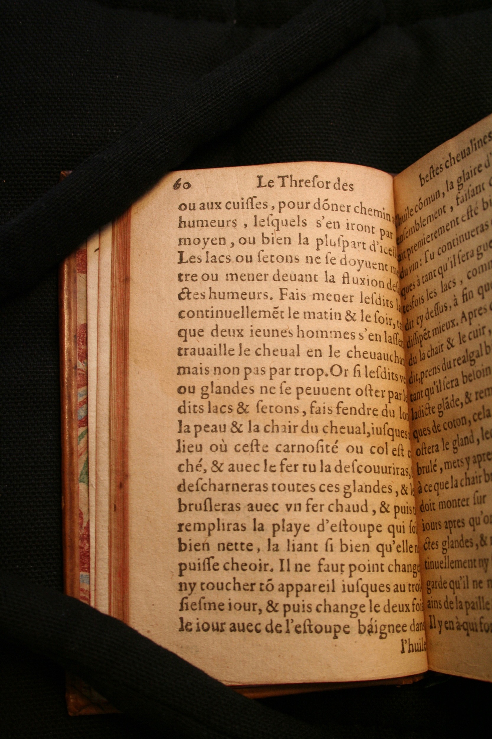 1591 - Pierre Chastaing et Benoît Rigaud - Trésor des bêtes chevalines - BM Bordeaux