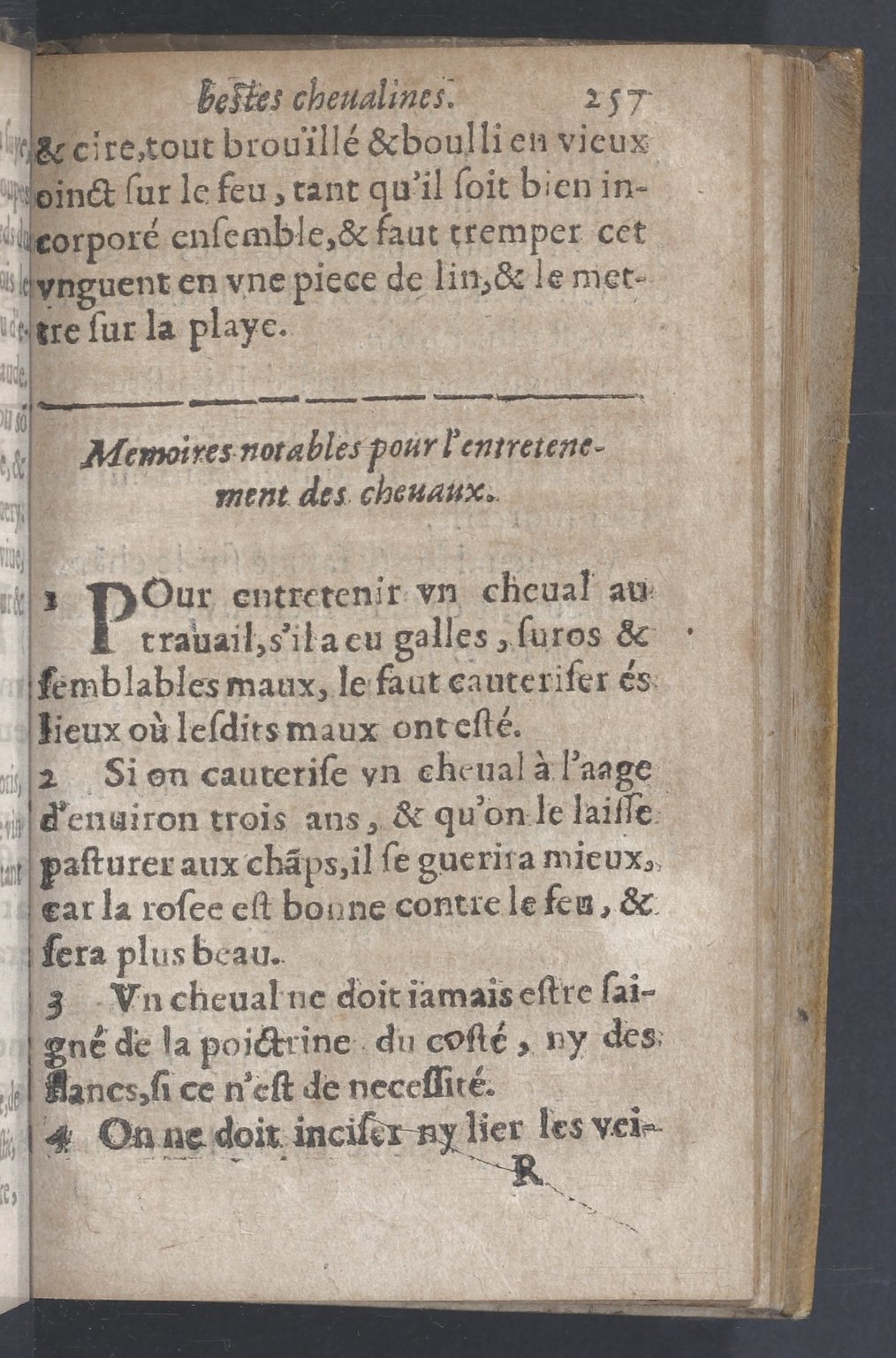 1619 - Pierre Rigaud - Trésor des bêtes chevalines - BnF 1619 - Pierre Rigaud - Trésor des bêtes chevalines - BnF