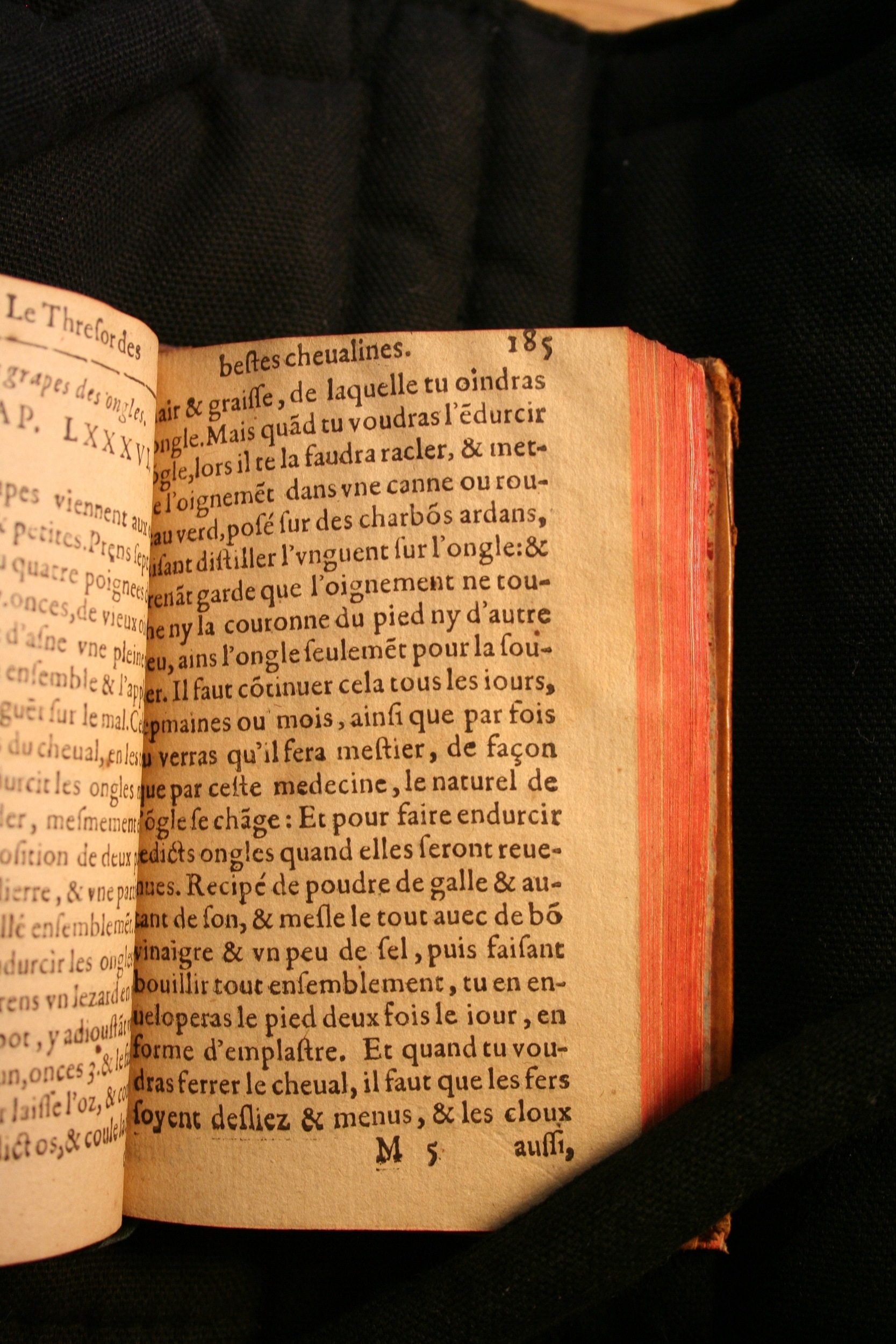 1591 - Pierre Chastaing et Benoît Rigaud - Trésor des bêtes chevalines - BM Bordeaux