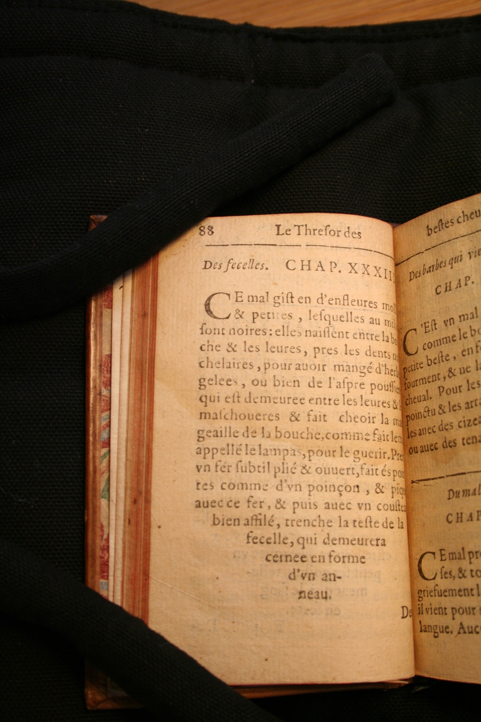 1591 - Pierre Chastaing et Benoît Rigaud - Trésor des bêtes chevalines - BM Bordeaux