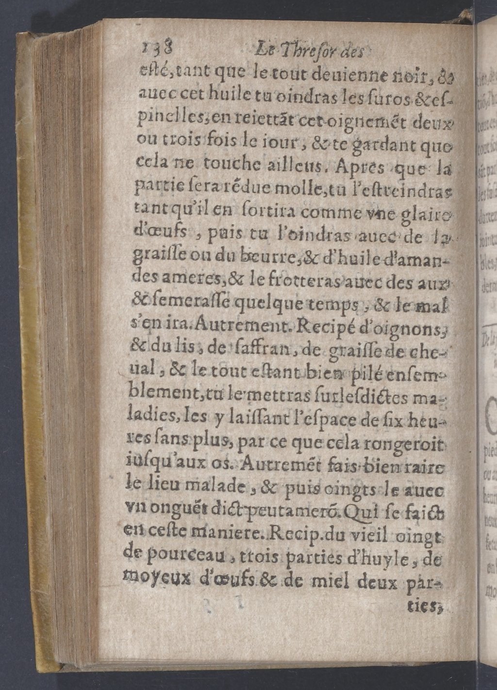 1619 - Pierre Rigaud - Trésor des bêtes chevalines - BnF 1619 - Pierre Rigaud - Trésor des bêtes chevalines - BnF